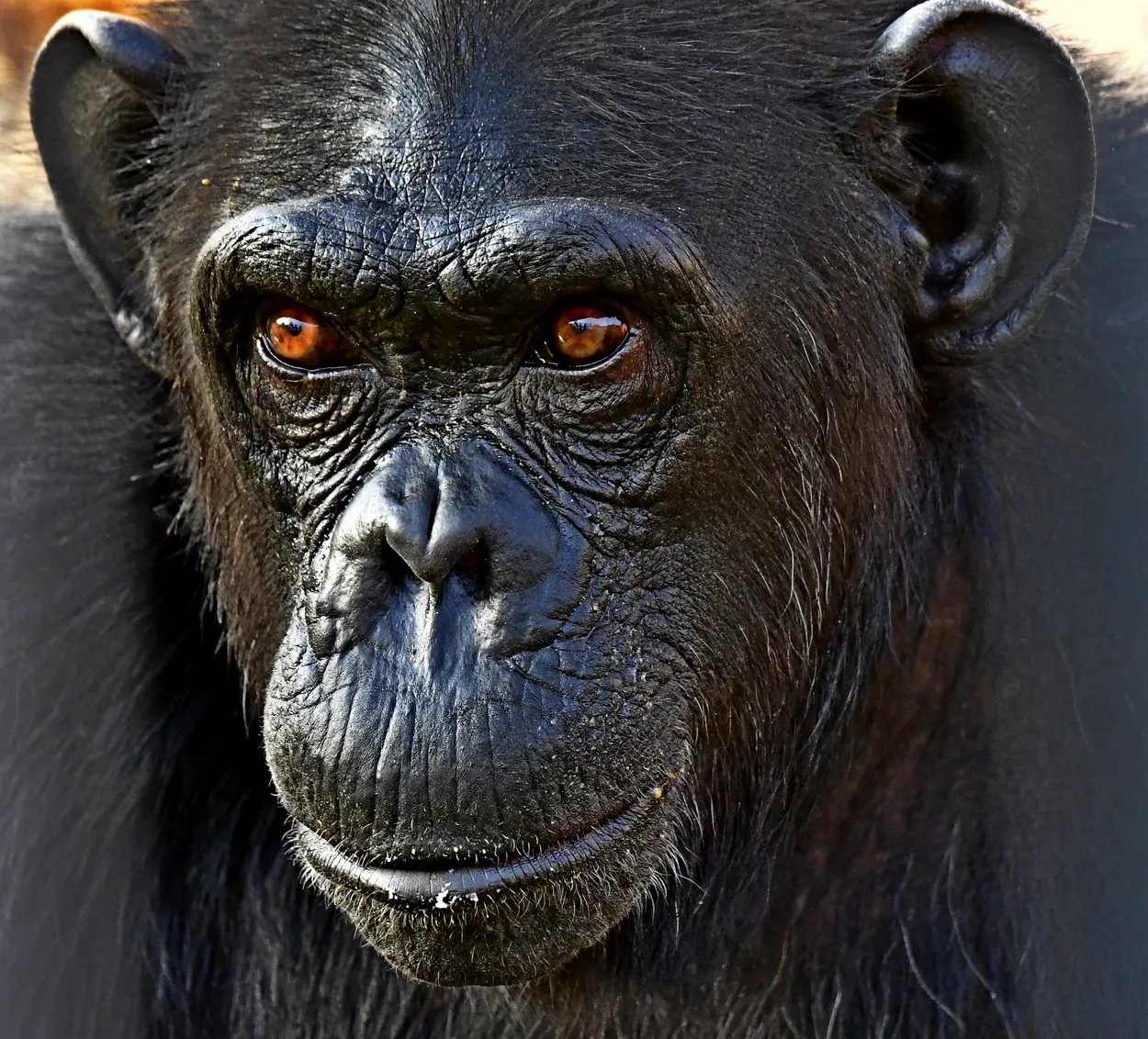 Entry 11048111