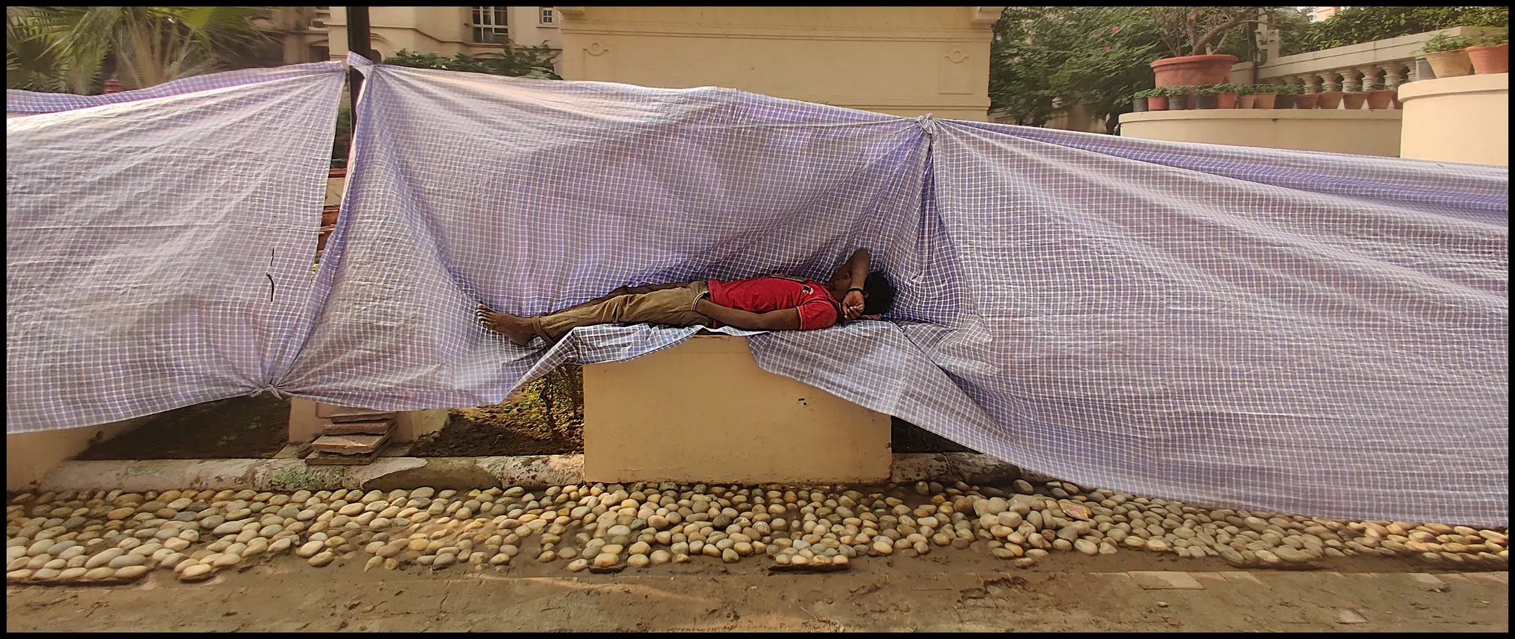 Entry 10779340