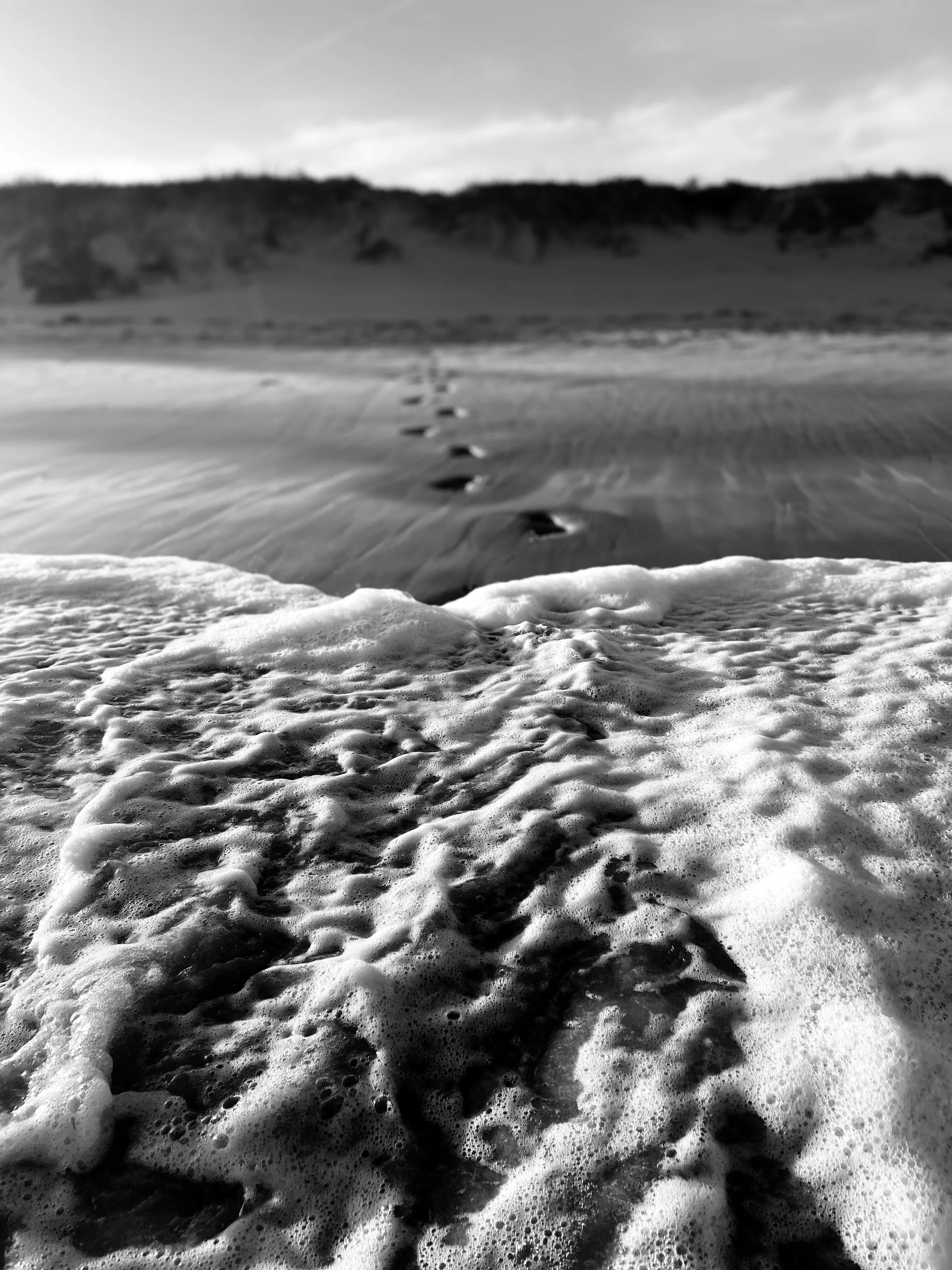 Ingrid