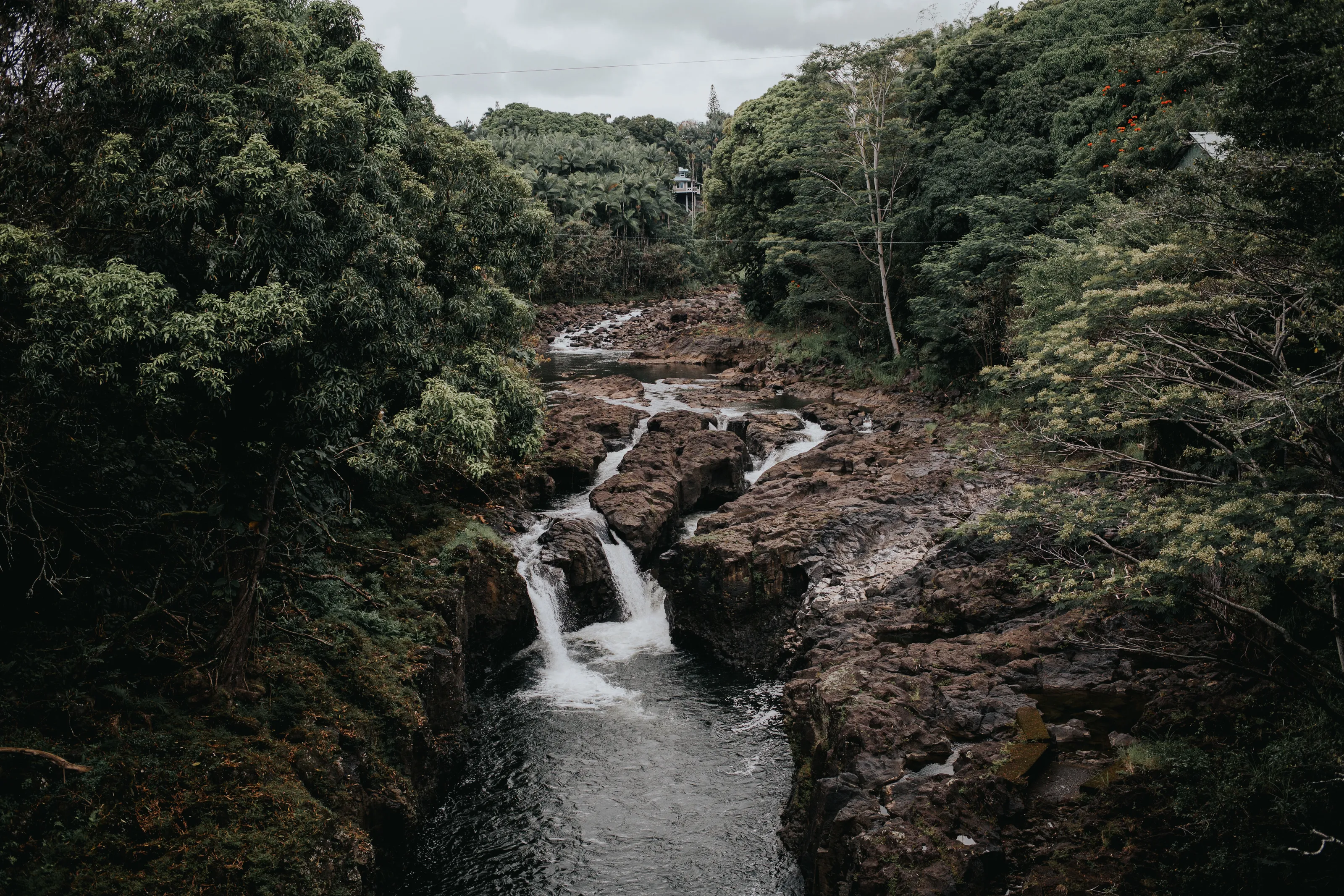 Hilo
