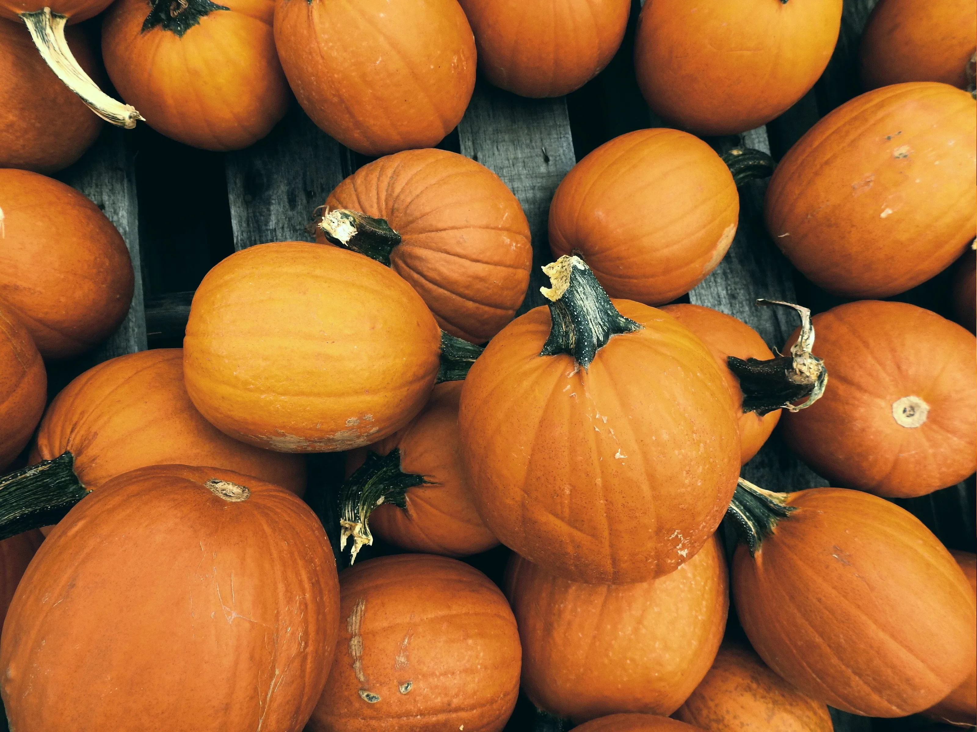 Pumpkins inside of a wooden crate