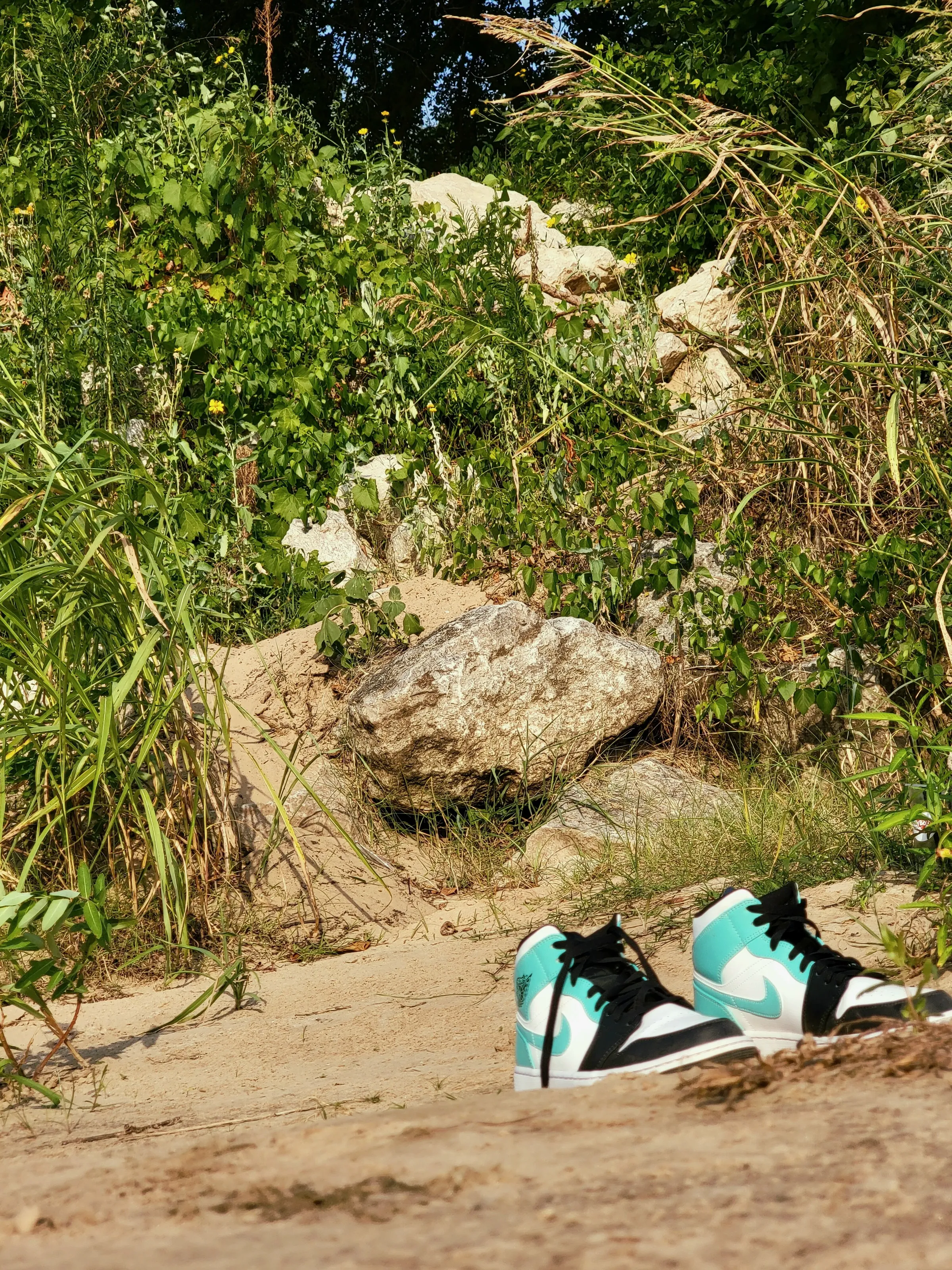 Jordan in the tropics