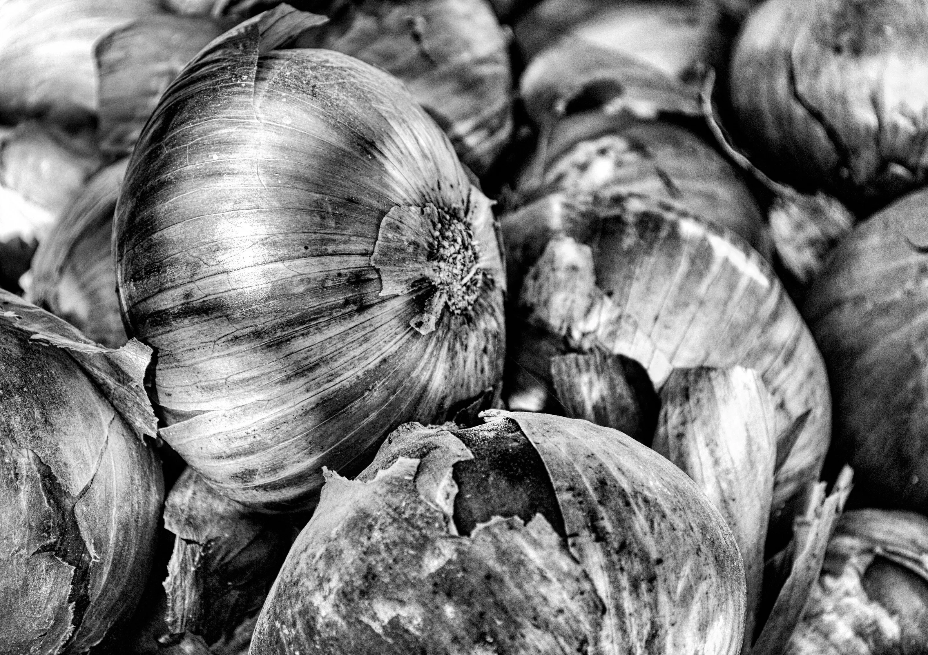 Onions