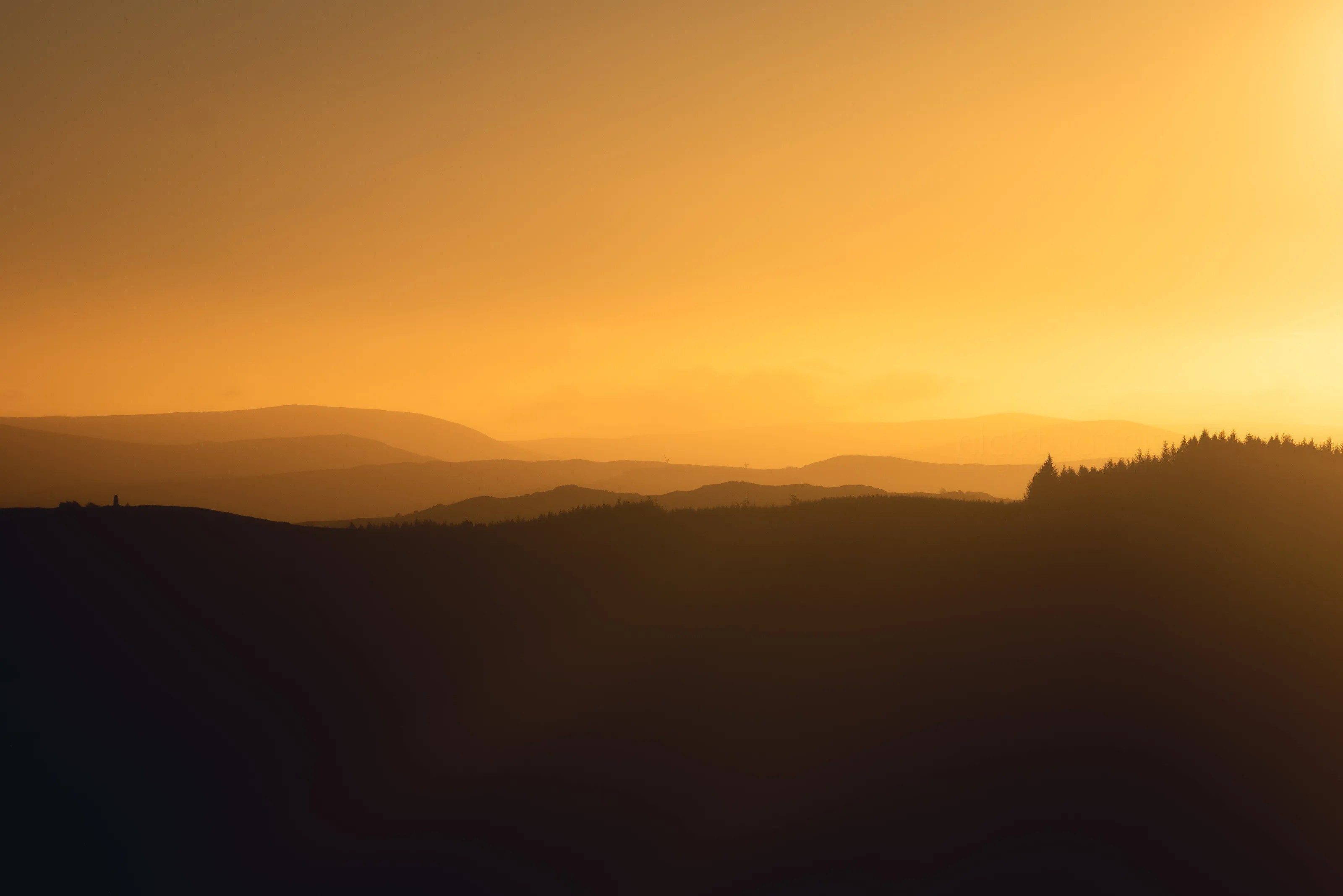Sunrise