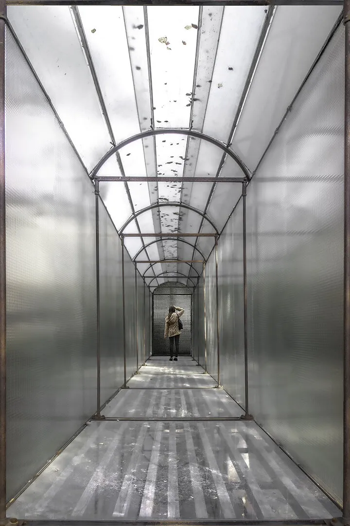 Entry 10921310