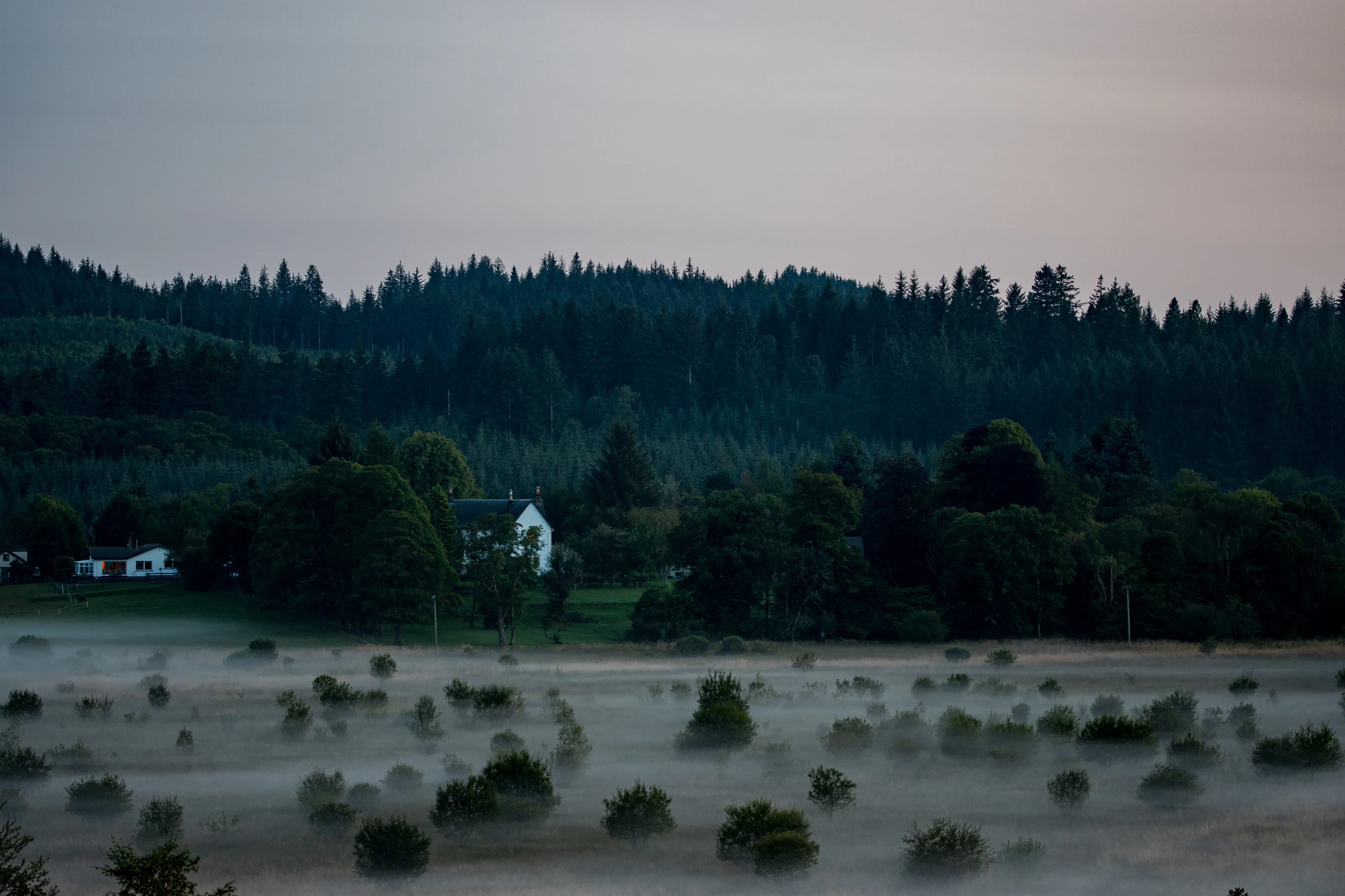 Foggy Evening