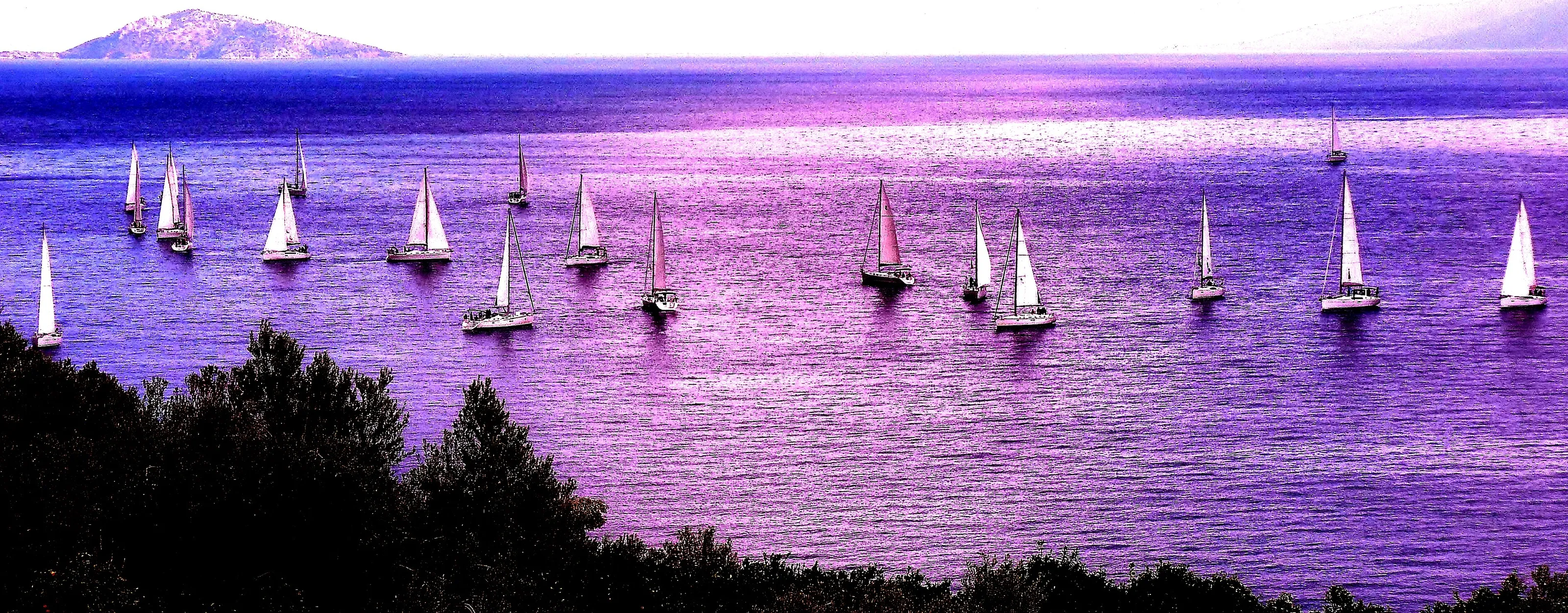 Regatta