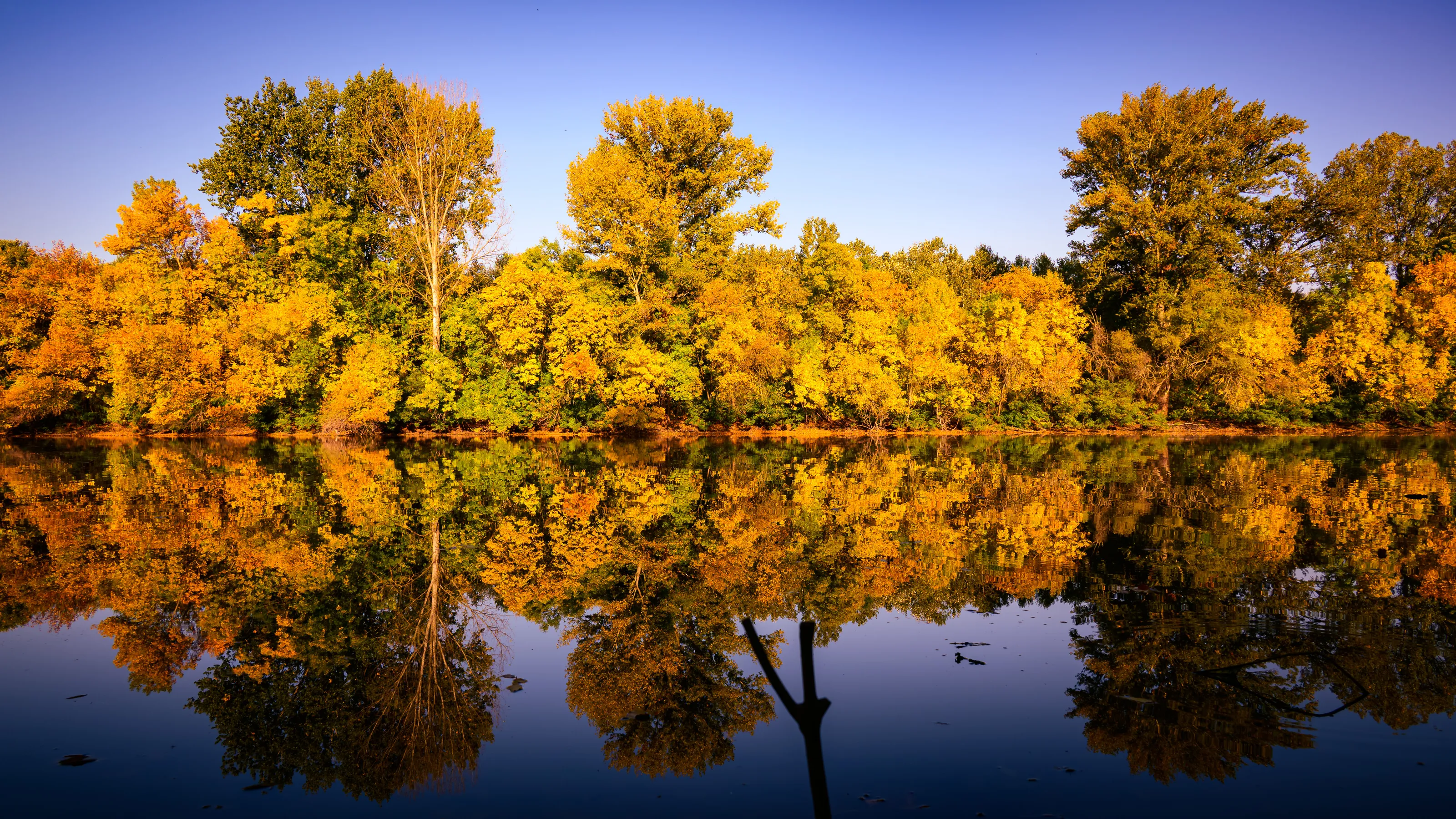A slice of Tisza