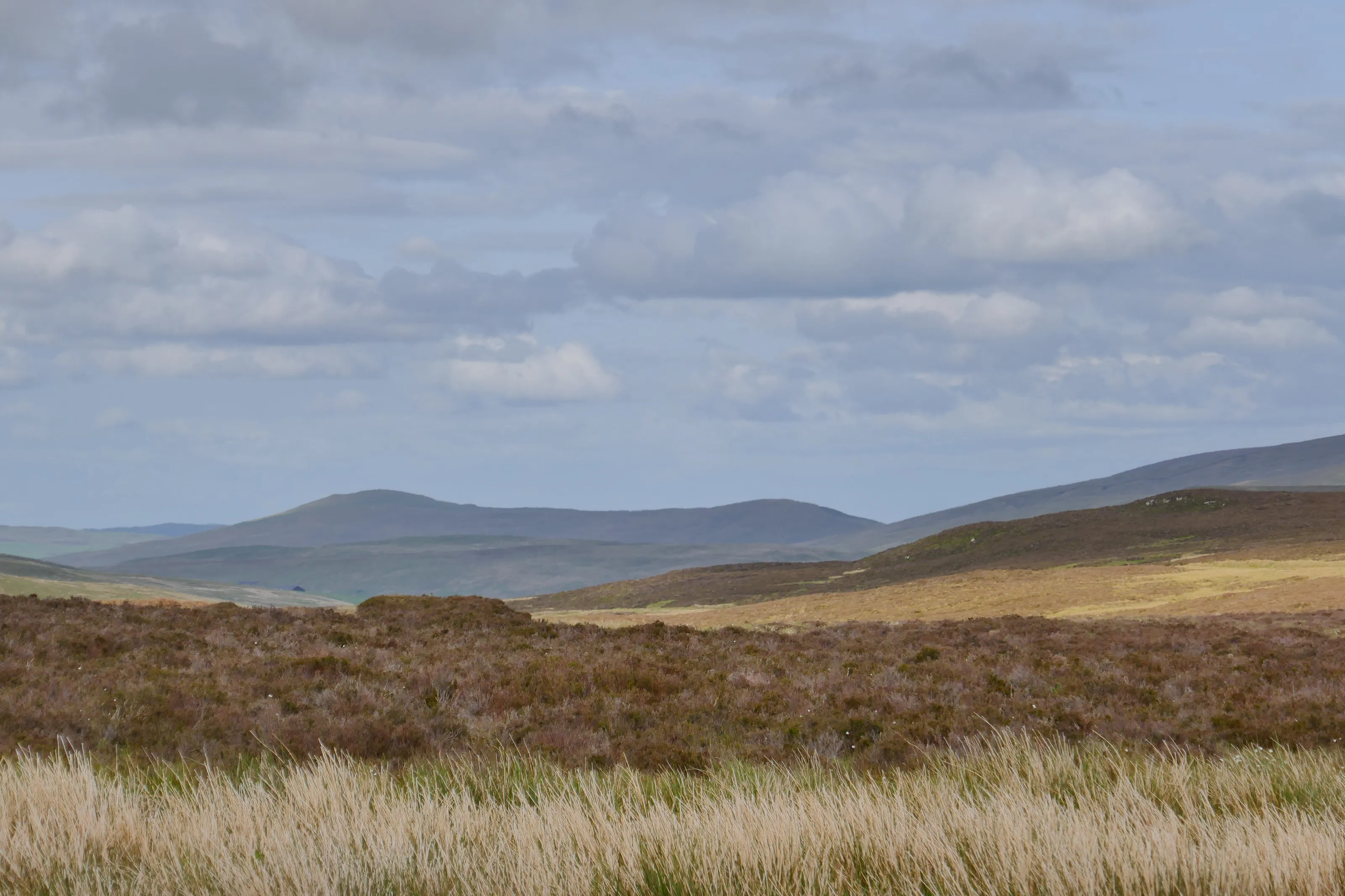 Welsh landscape