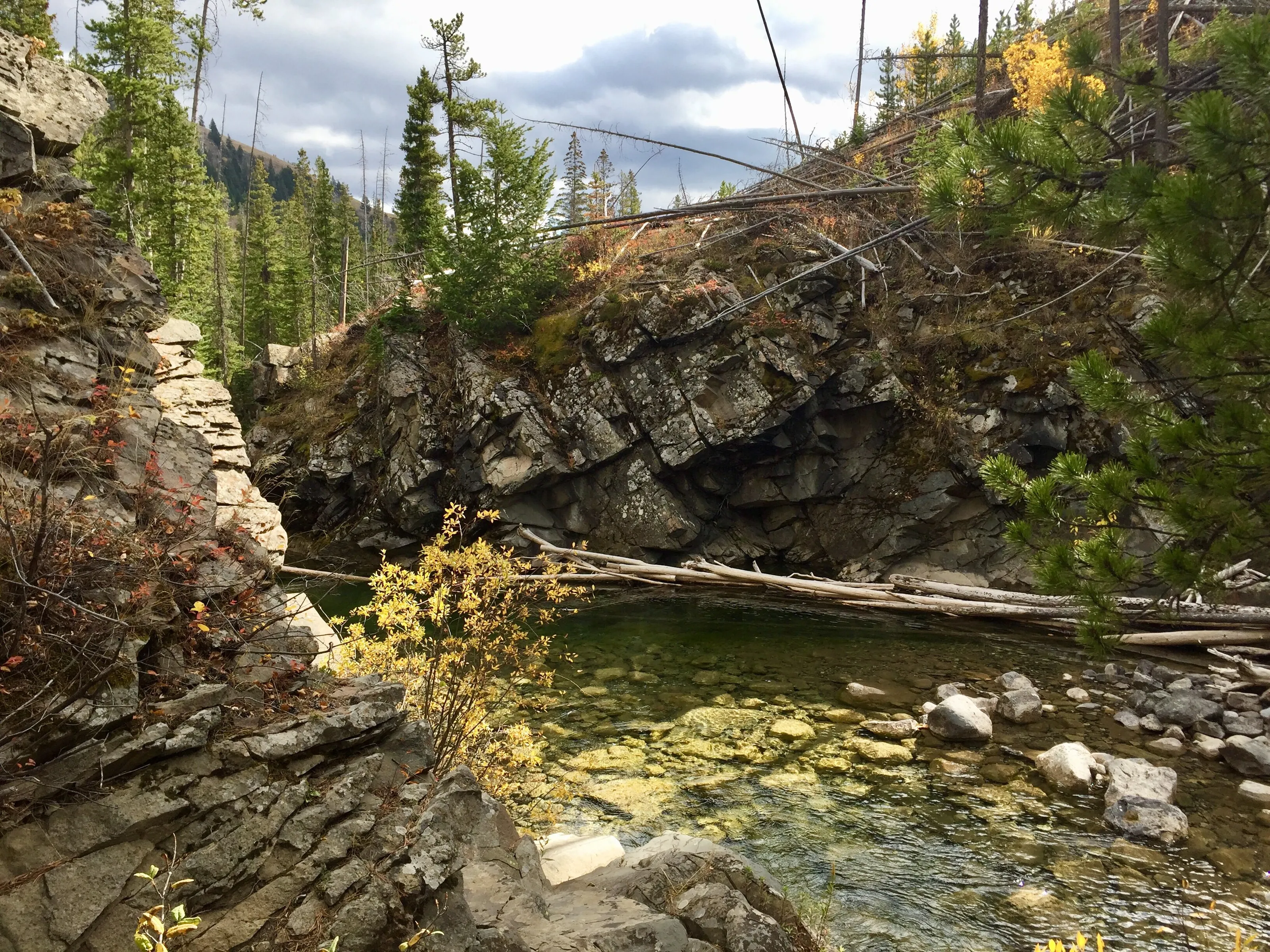South of Hillcrest Mines, Alberta