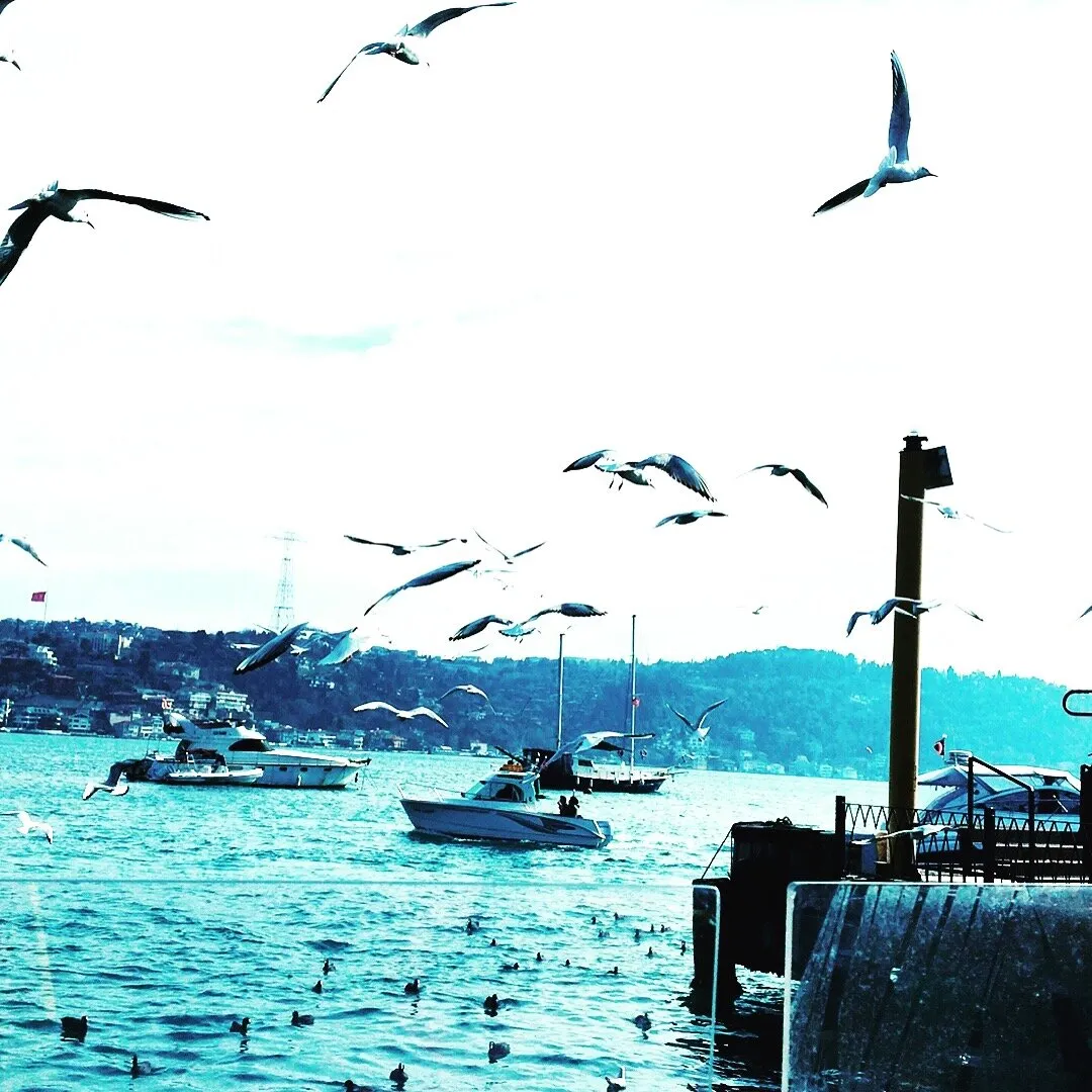 Bebek İstanbul