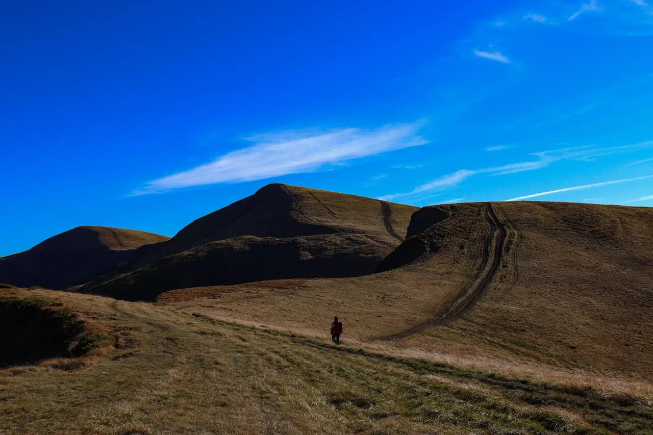 Hiking