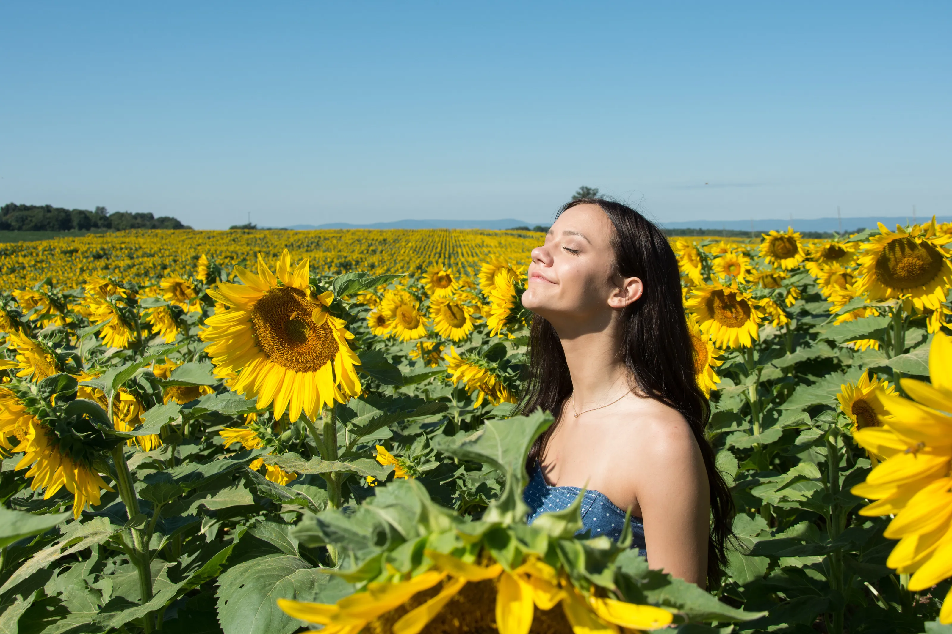 Field of Dreams