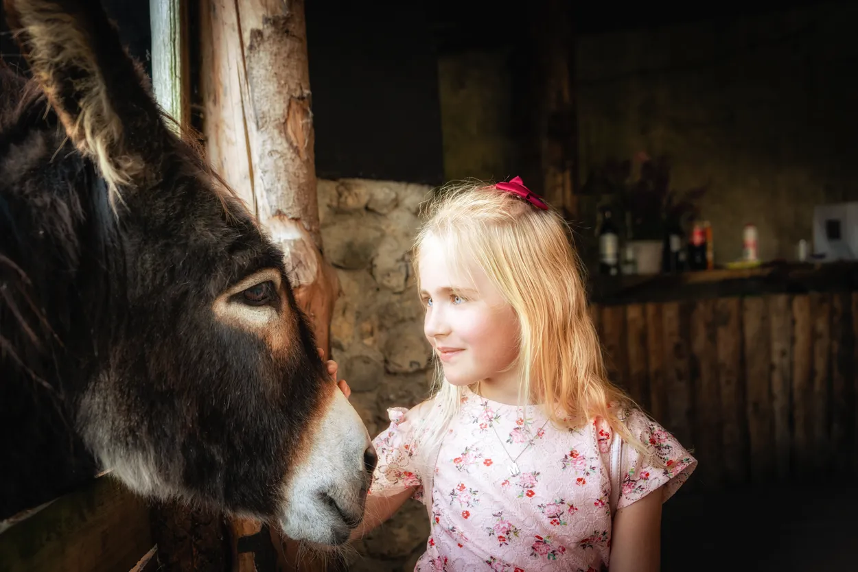 Entry 21015855