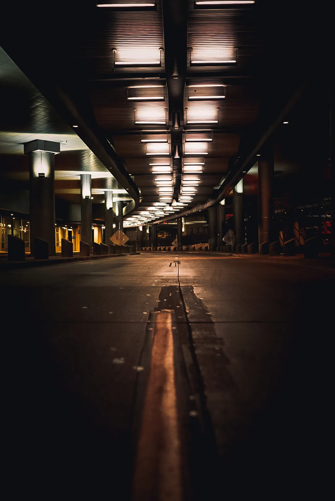 Follow The Lights