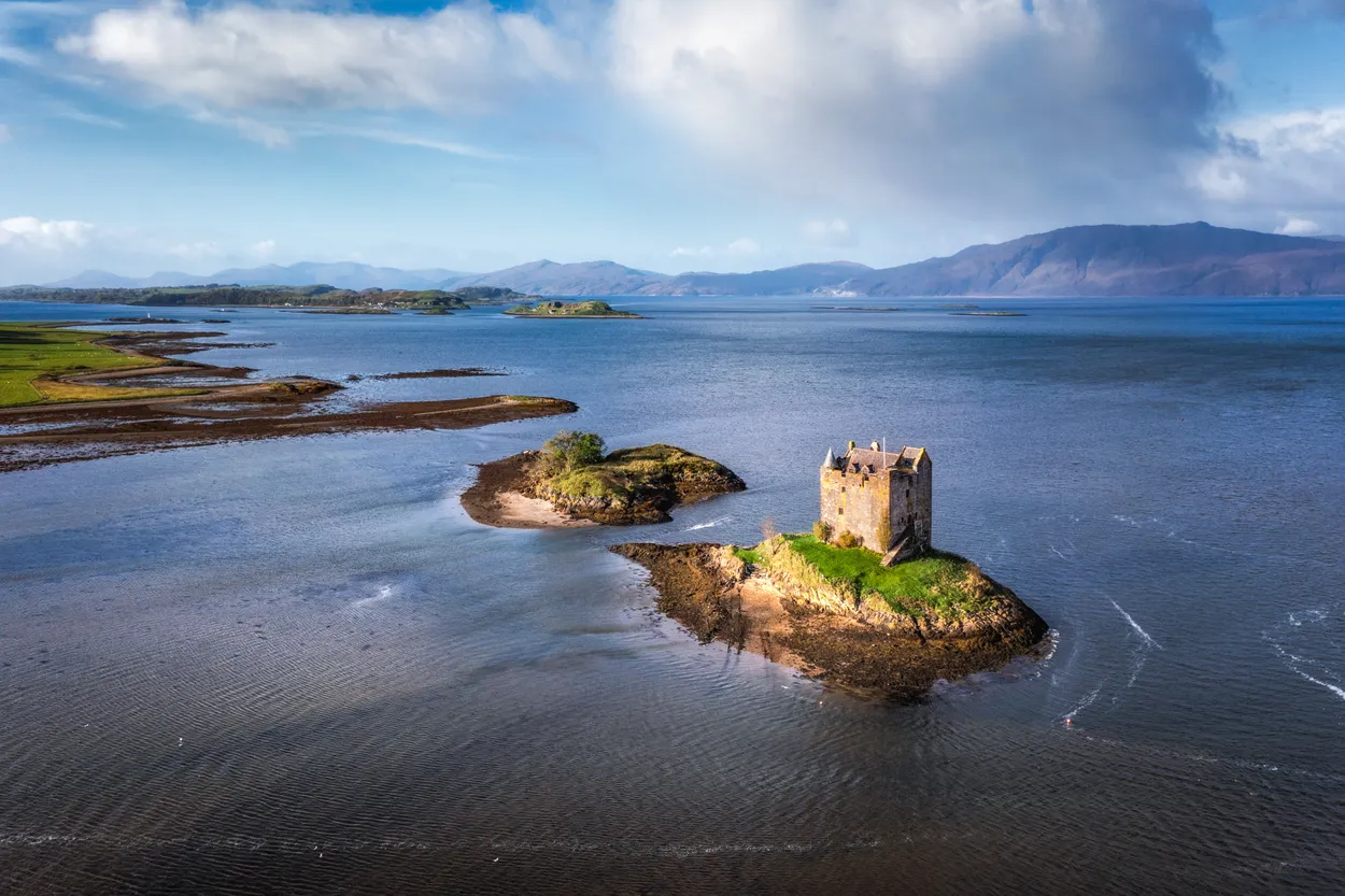 Entry 15541639
