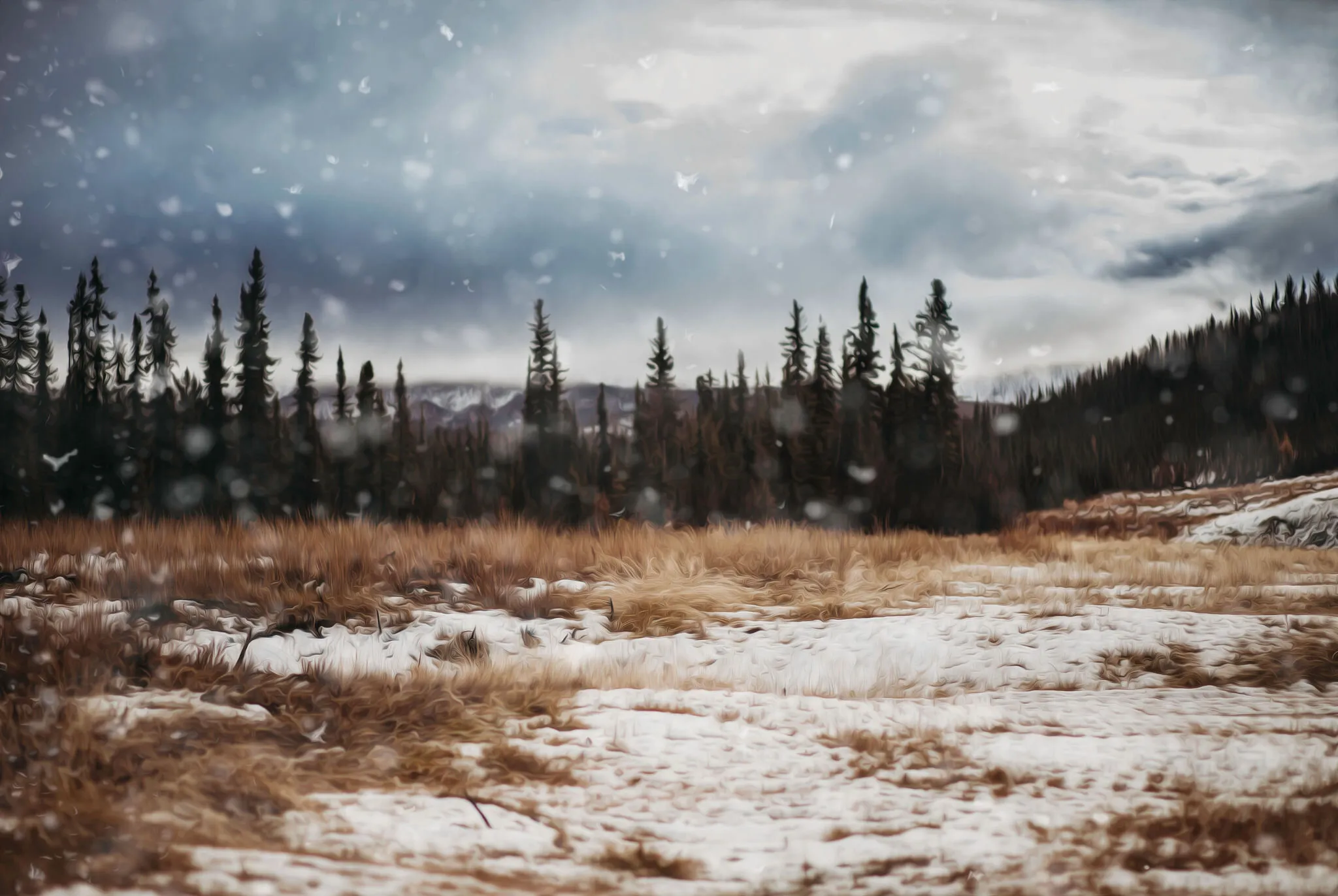 Banner image