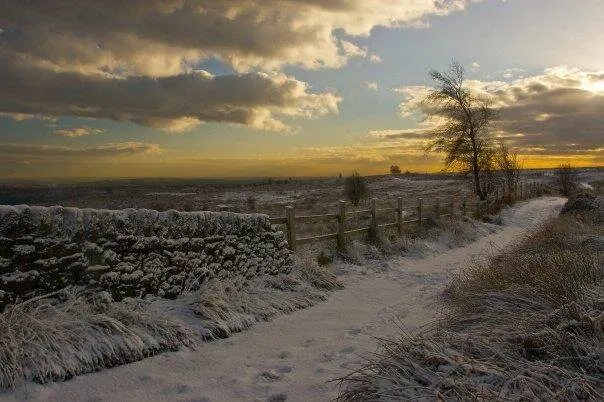 A Winter Wander