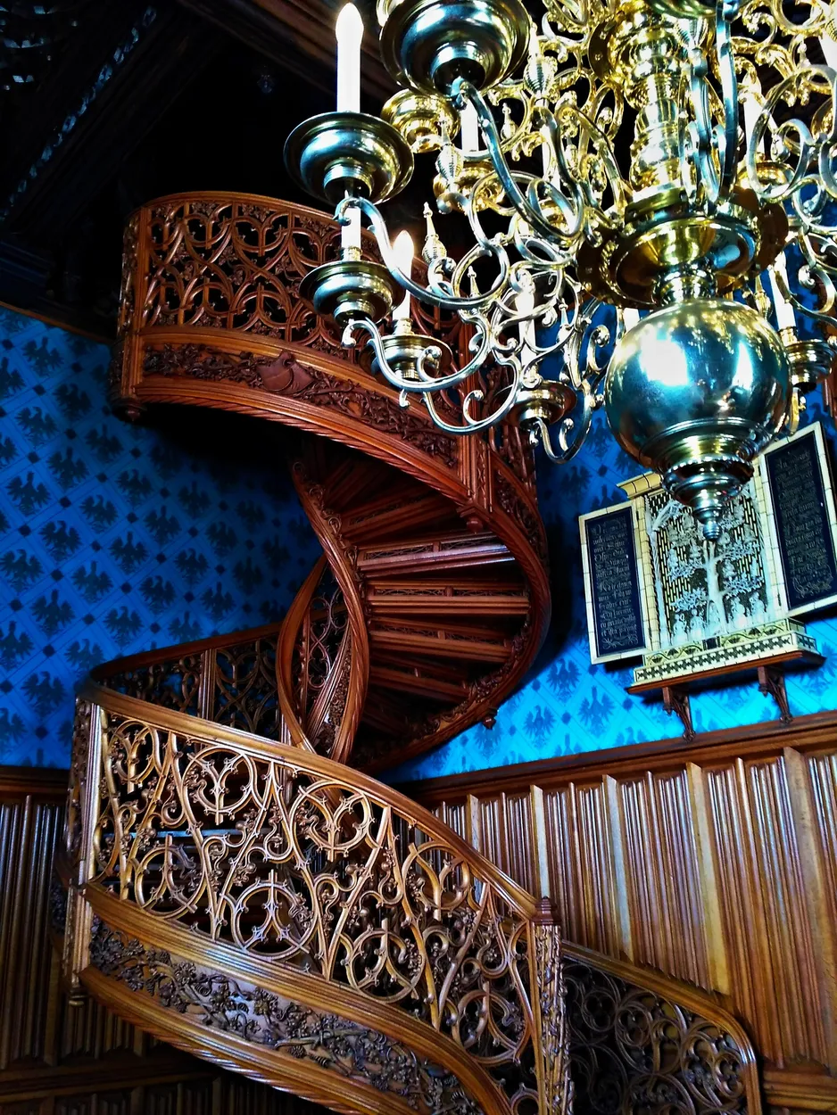 Entry 19019068