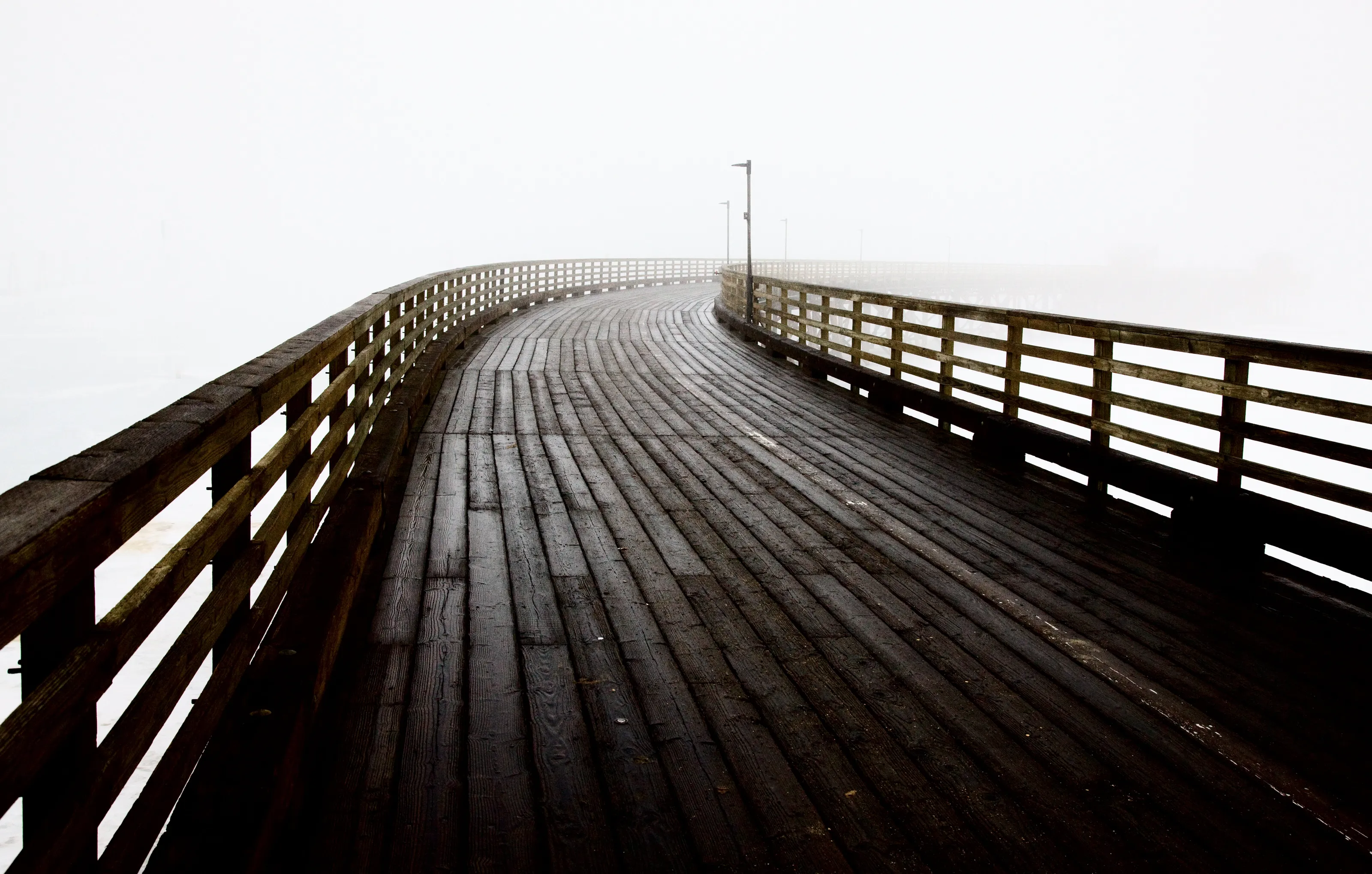 Into the Mist