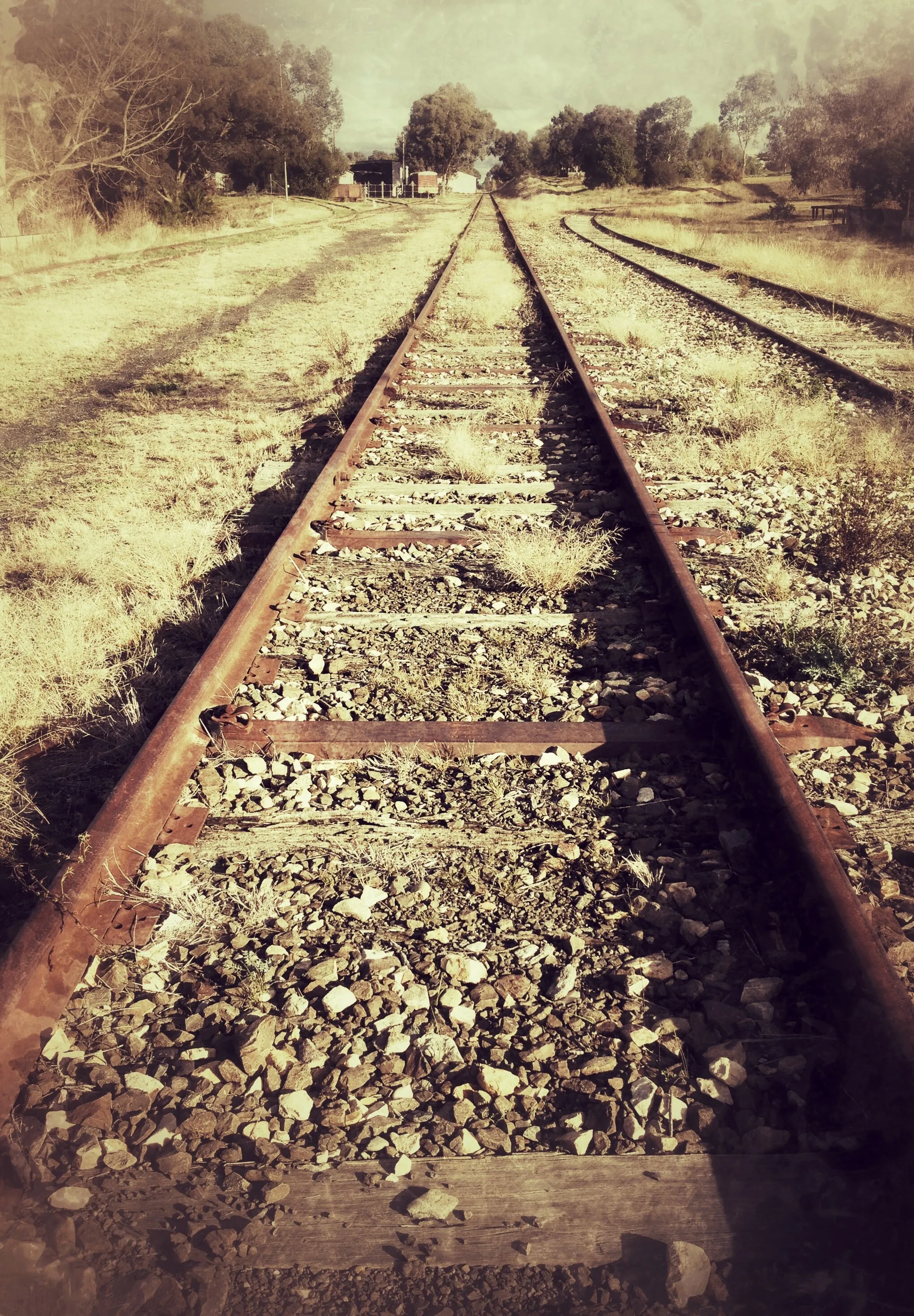 Cowra rail