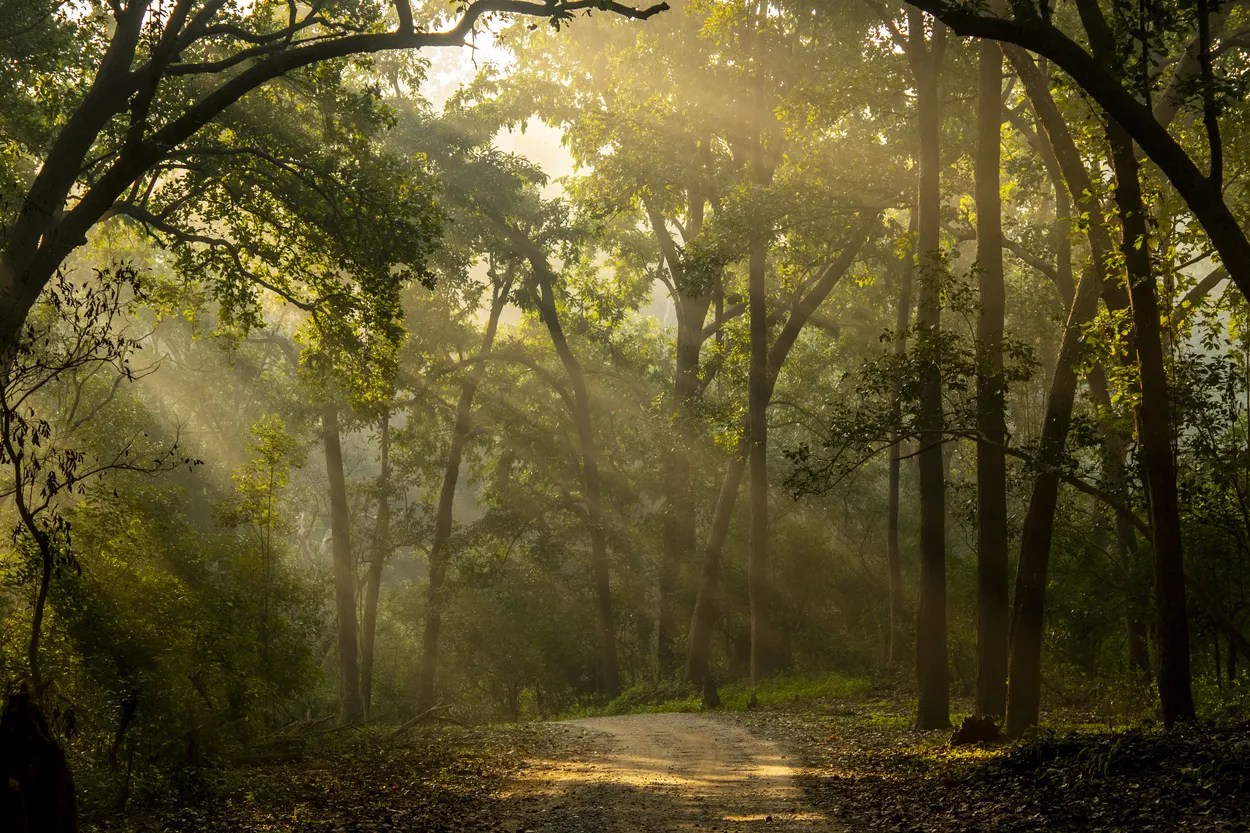 Entry 15635789