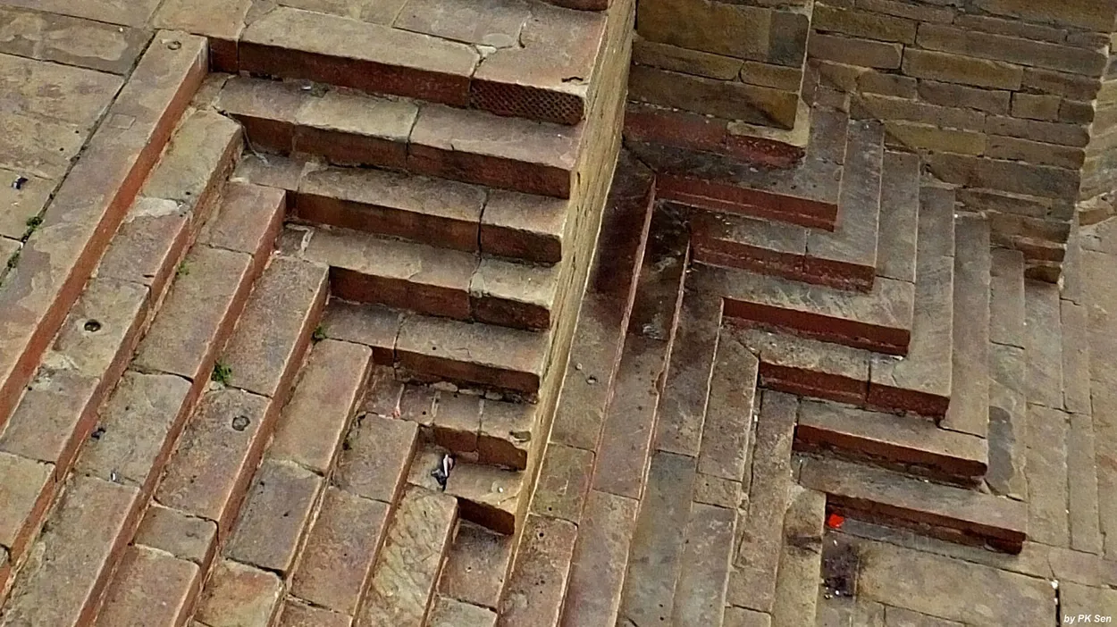 Entry 20890396