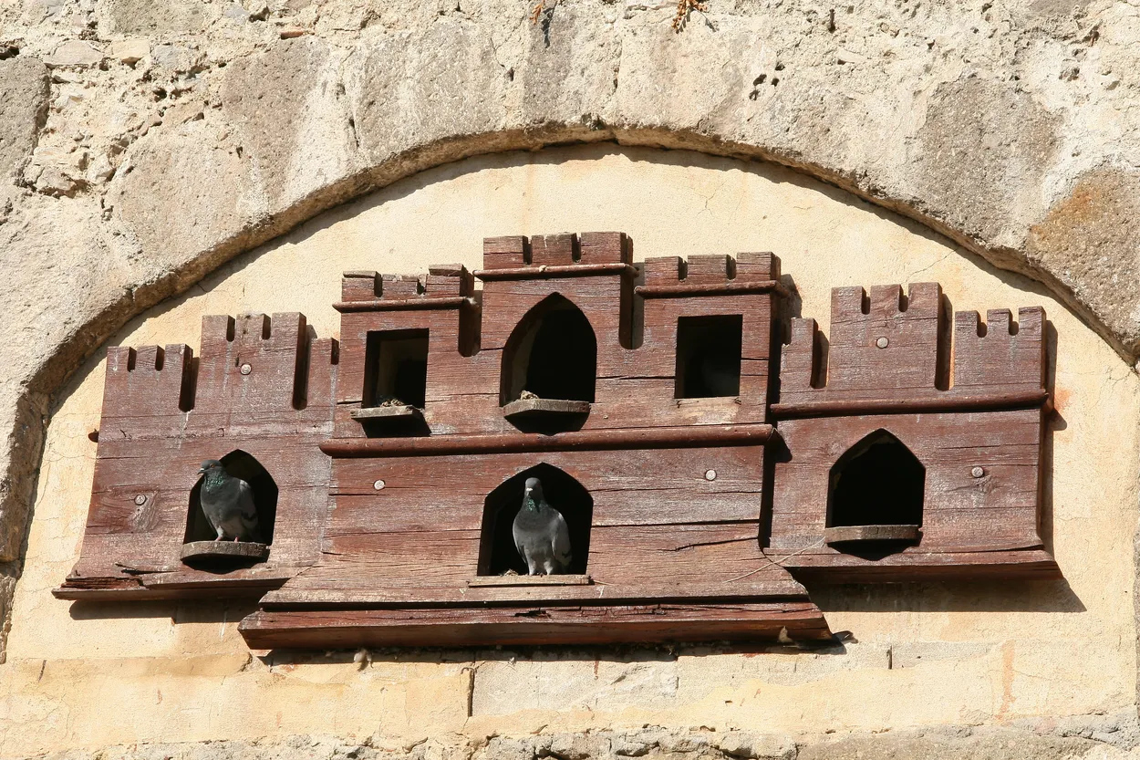 Entry 19014412