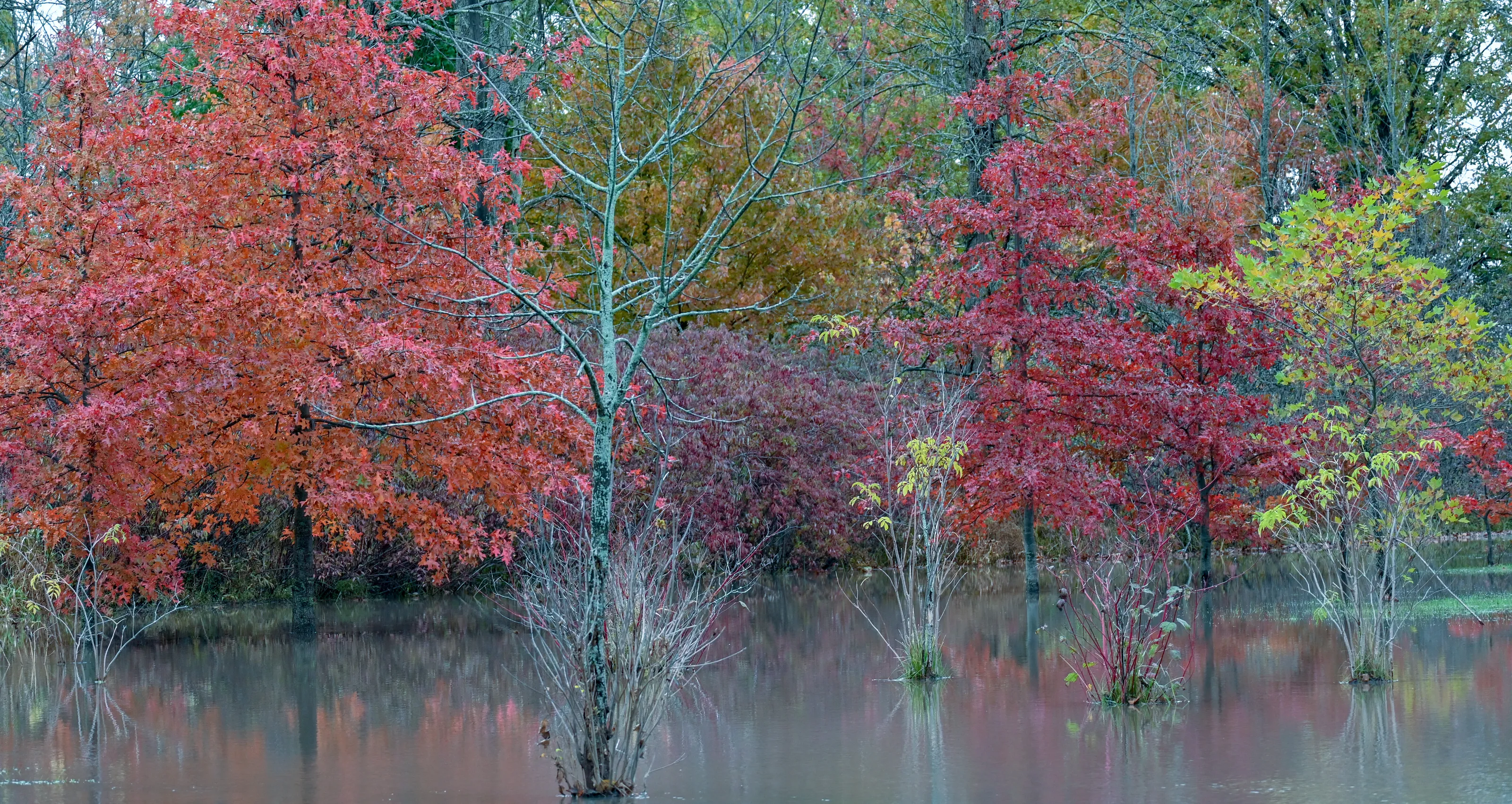 Autumn rain padlle