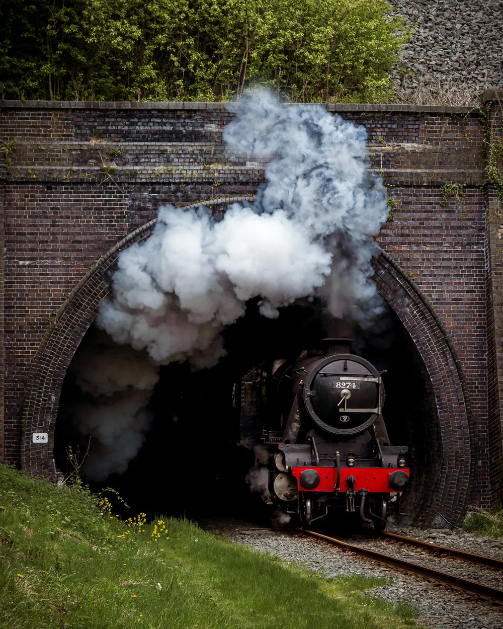 Entry 19808909