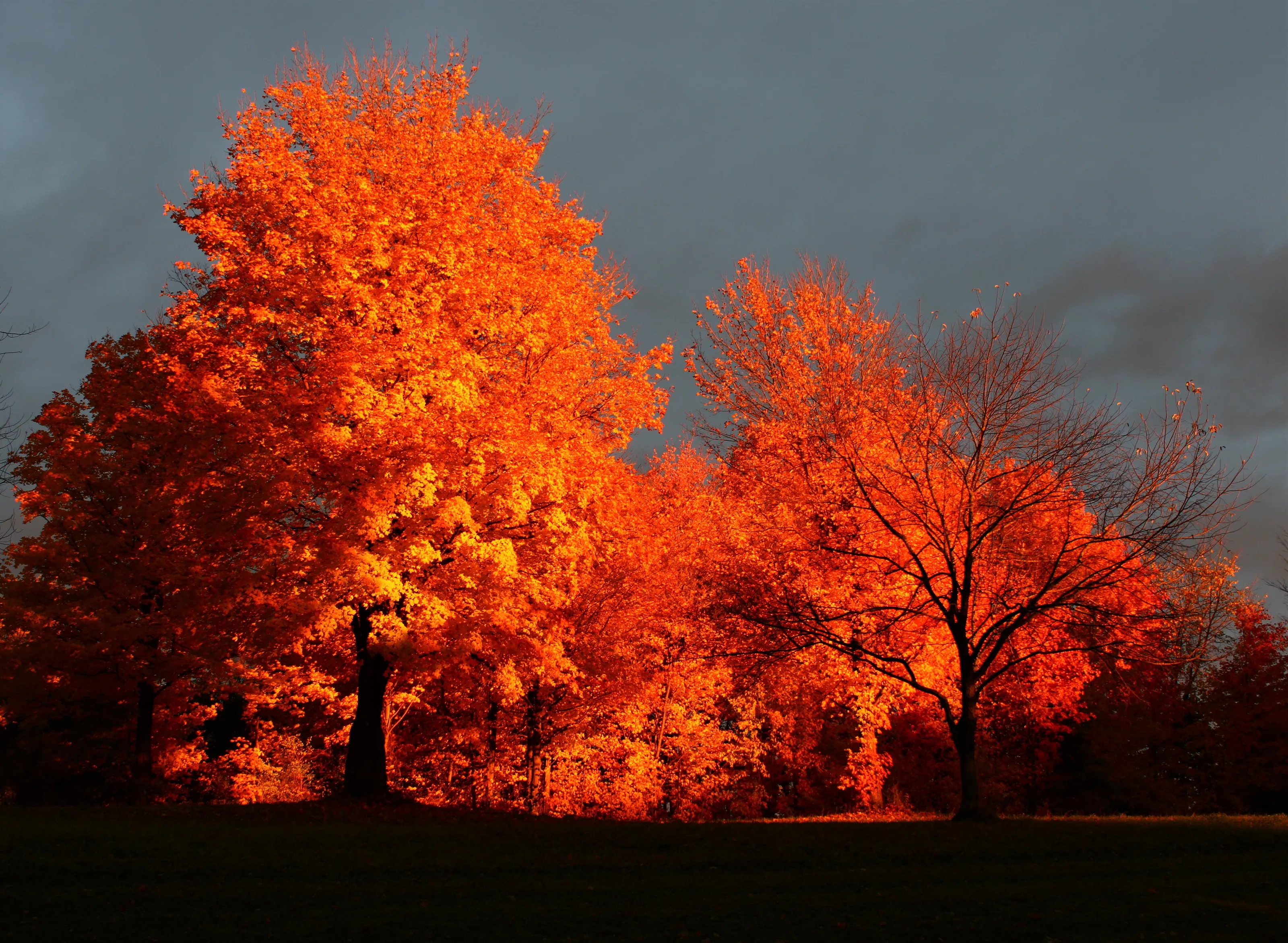 Autumn