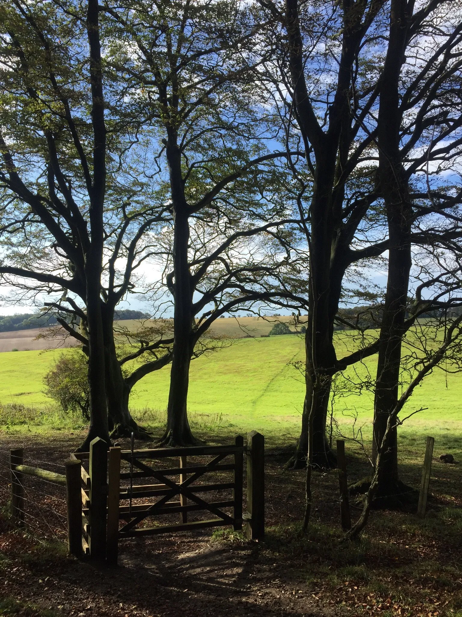 Stanmer Park, Brighton