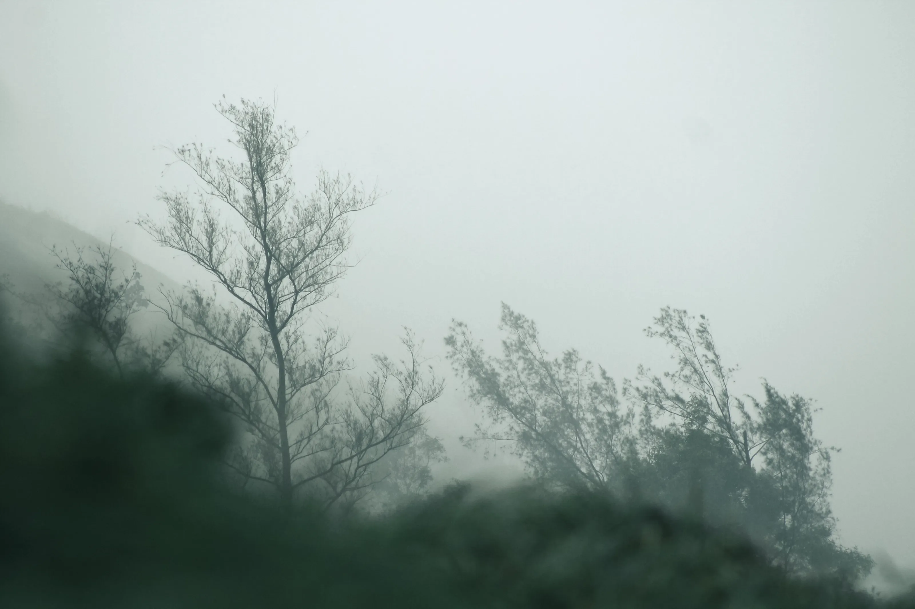 misty