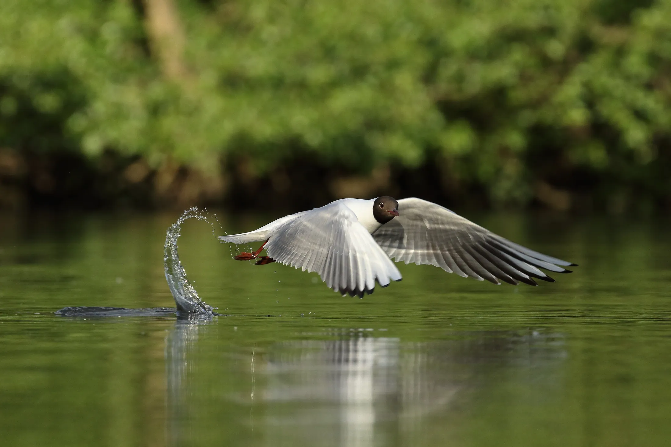 Lift Off!