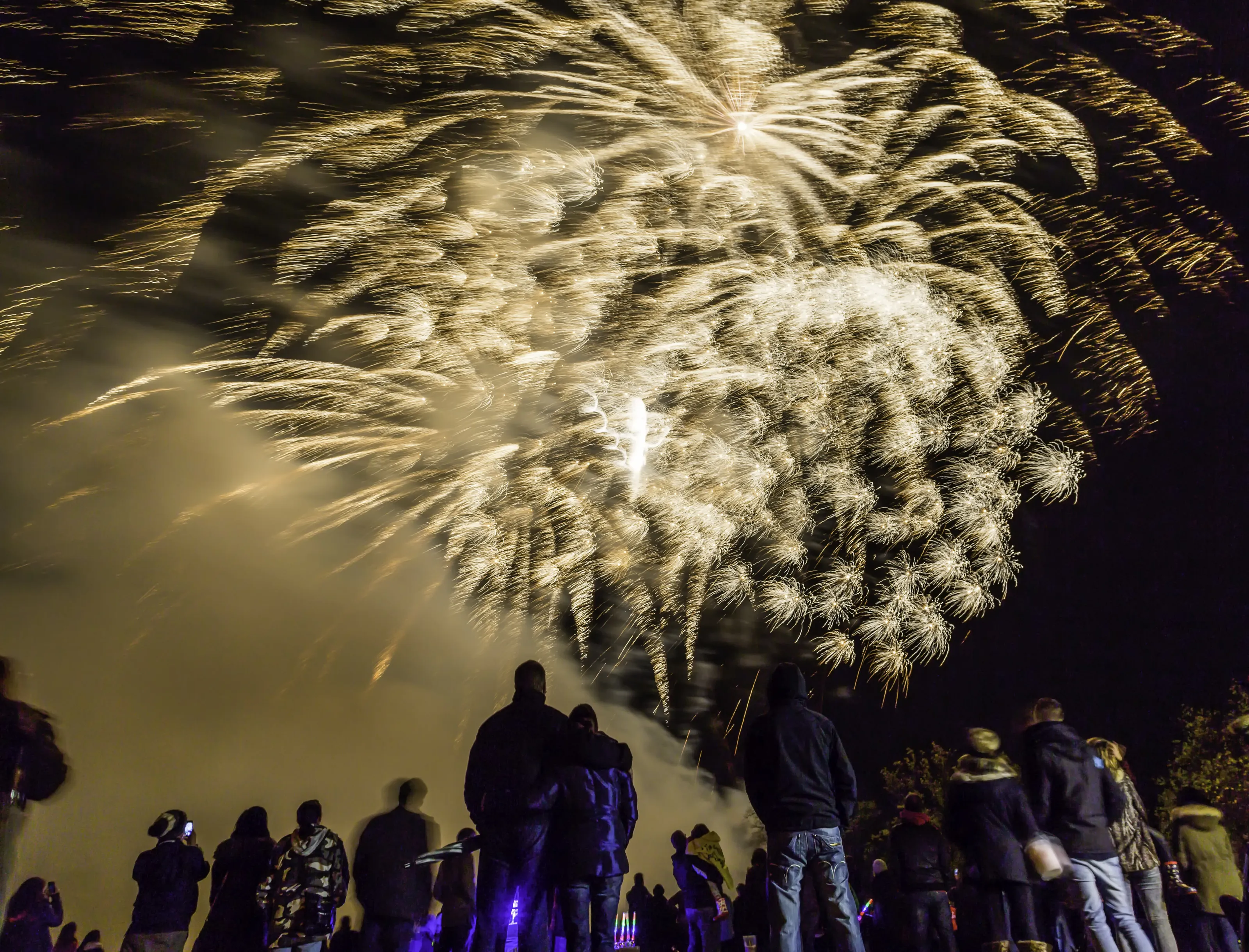 Guy Fawkes Night 2014