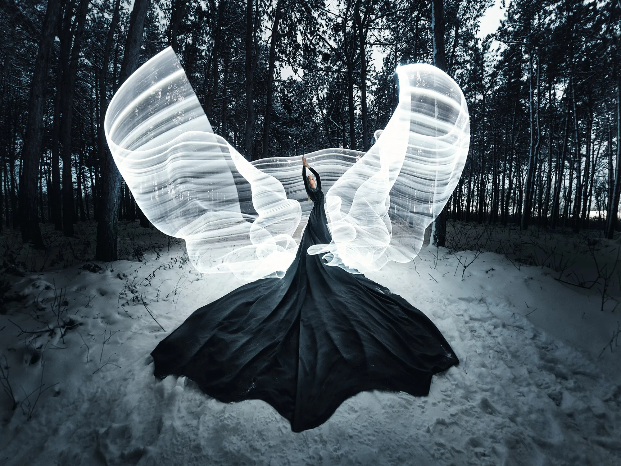 Black Swan