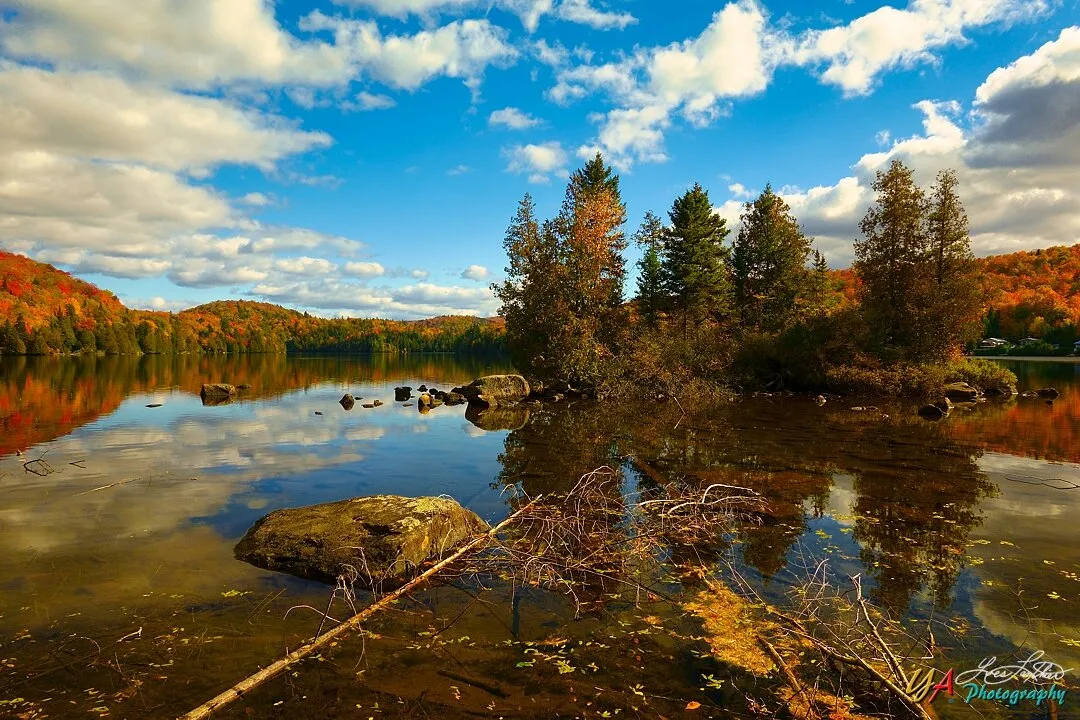 "The Island Fall Colors"