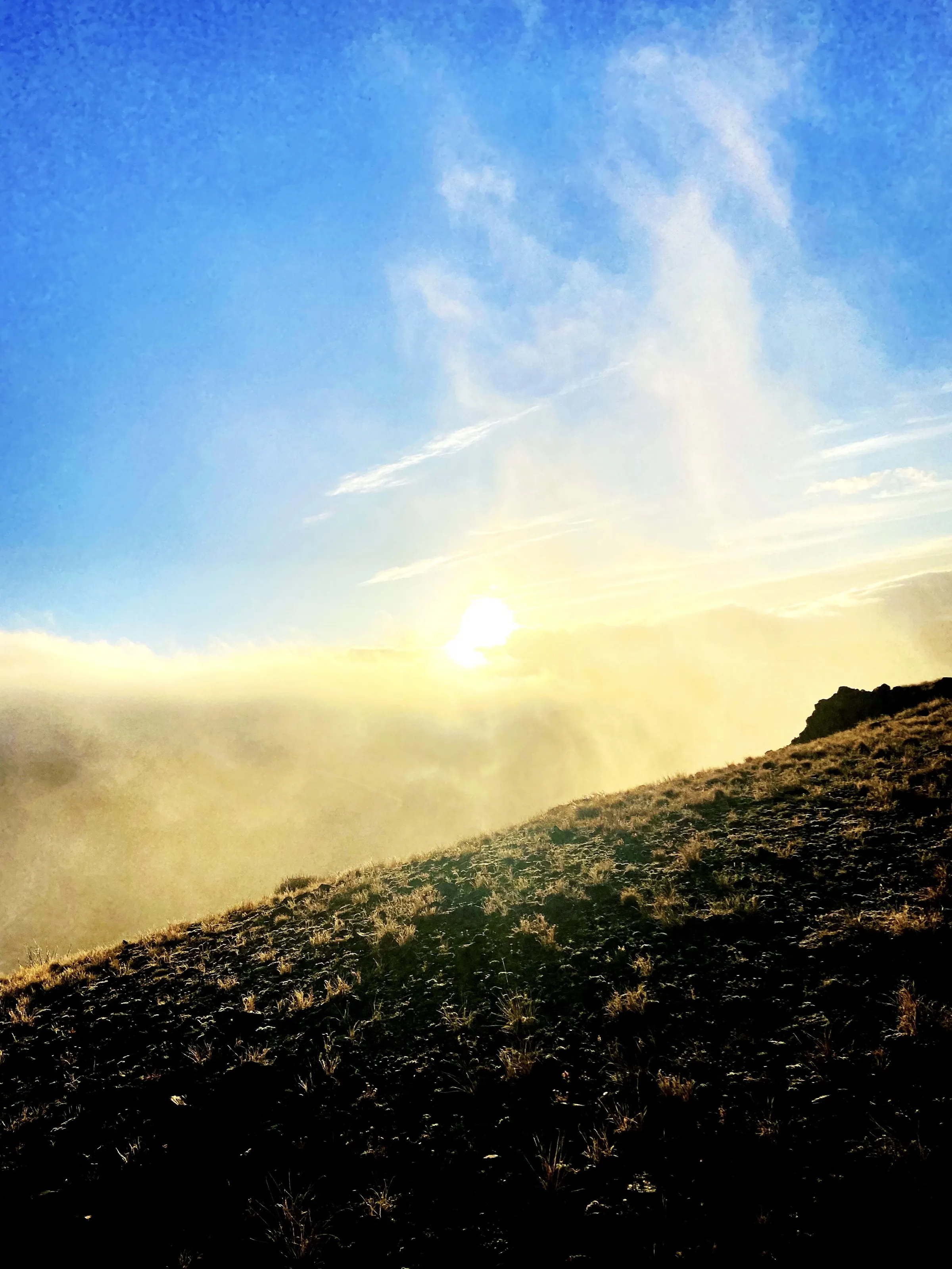 Misty Morning