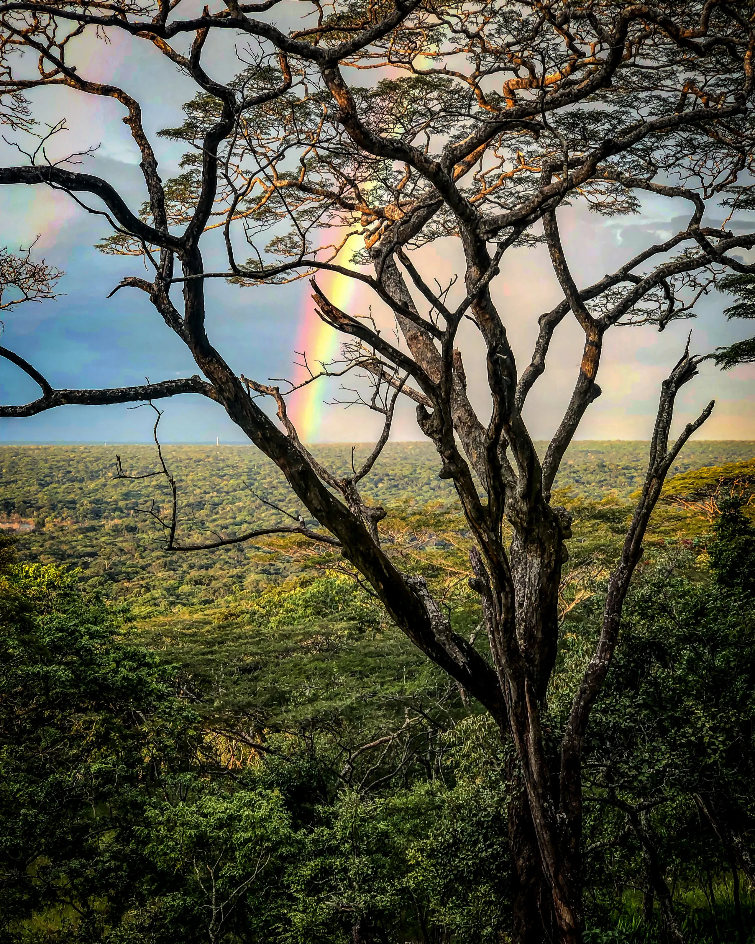 African Skies