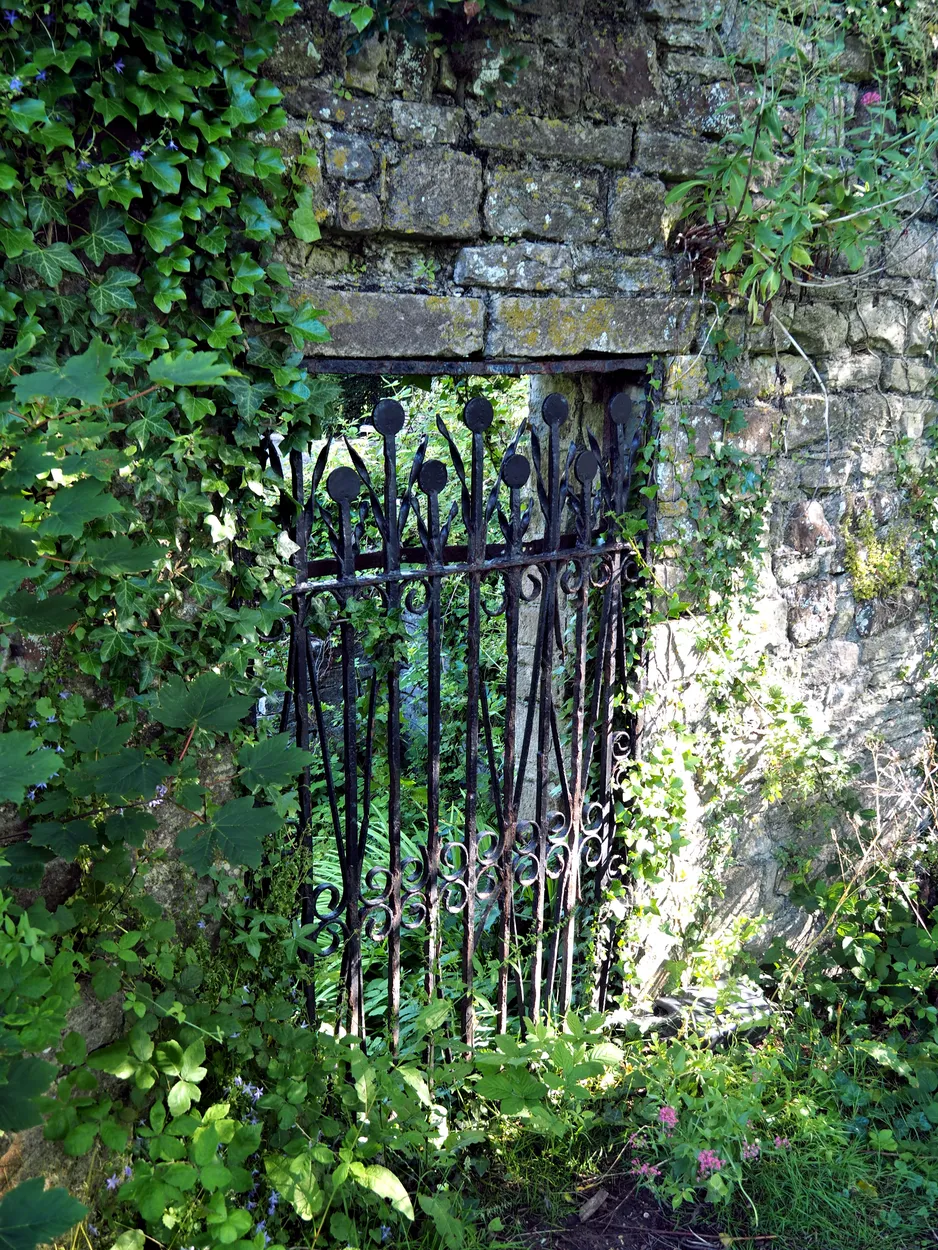 Entry 11002060