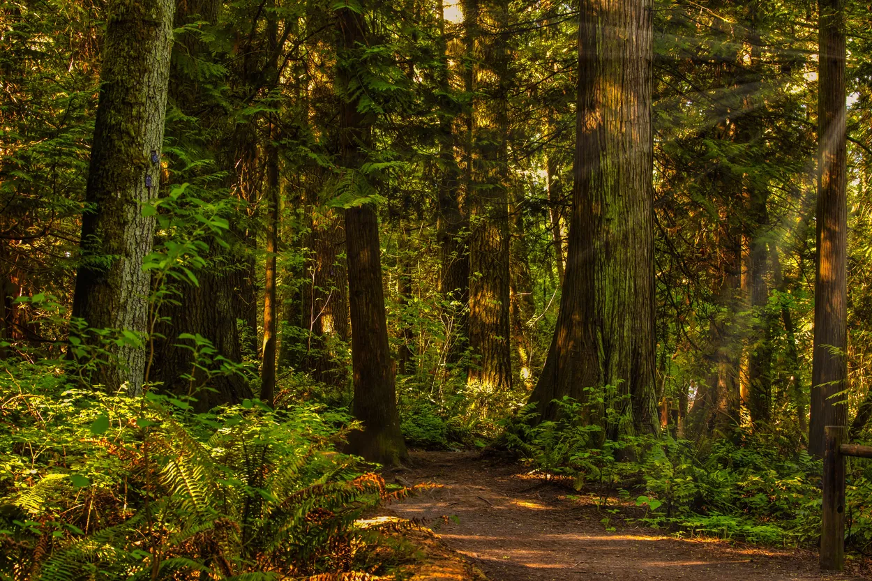 Entry 15628110
