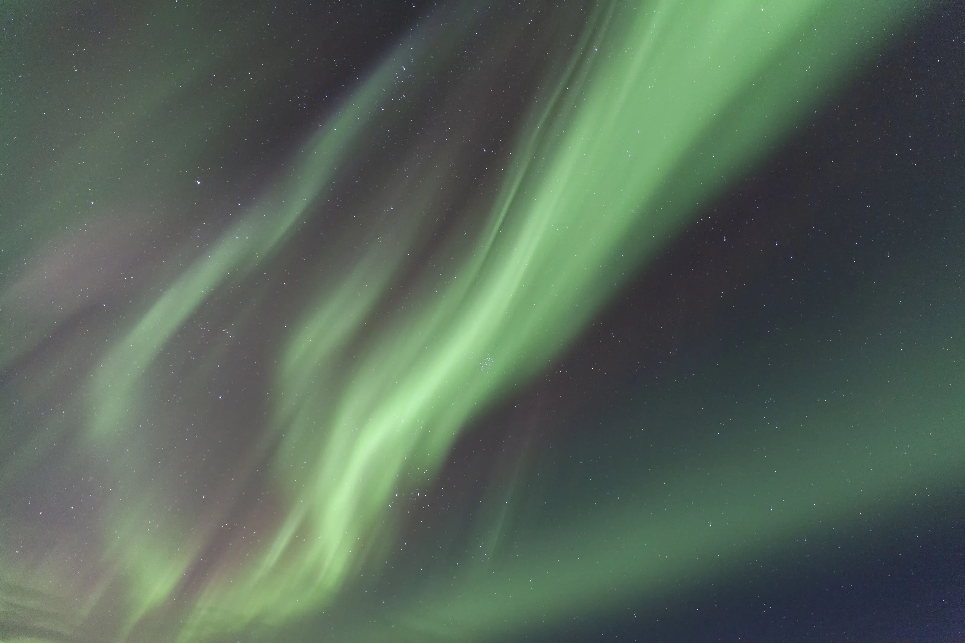Halloween Aurora 2021