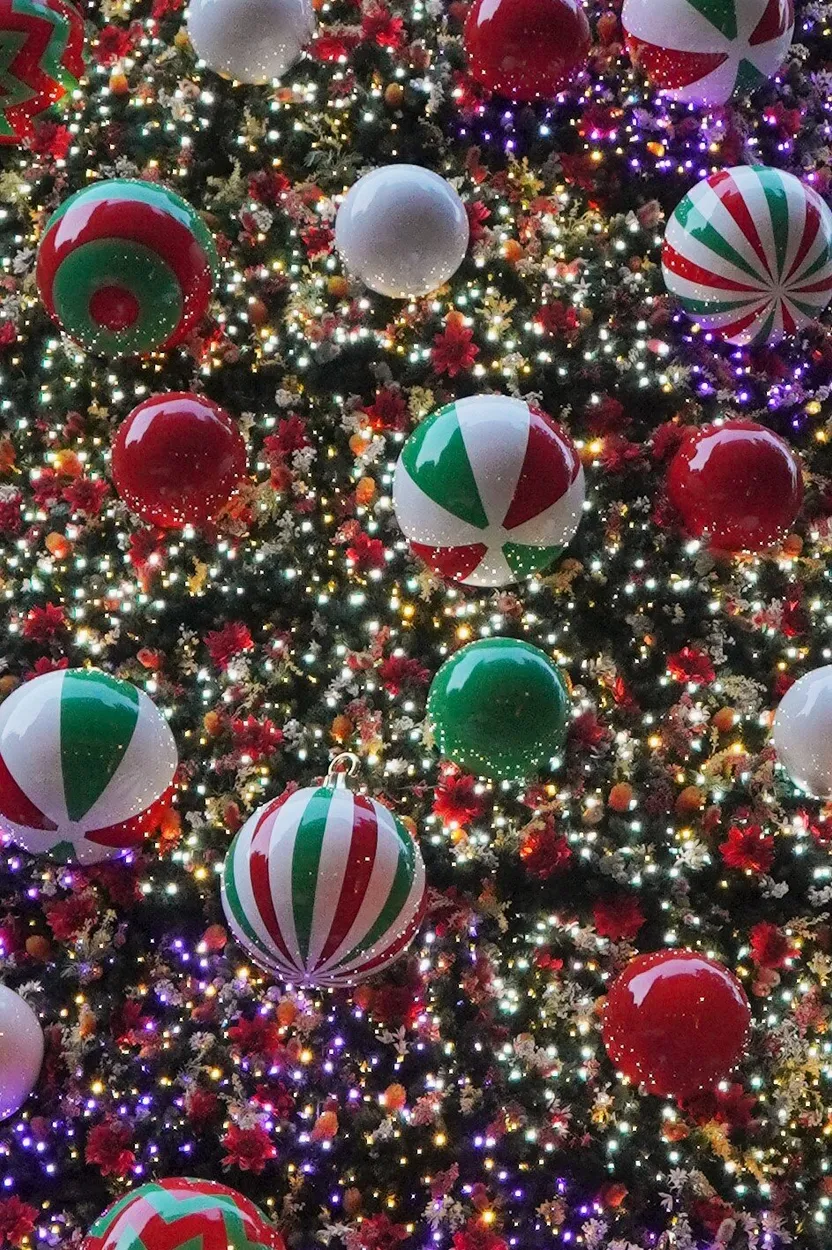Entry 11011776