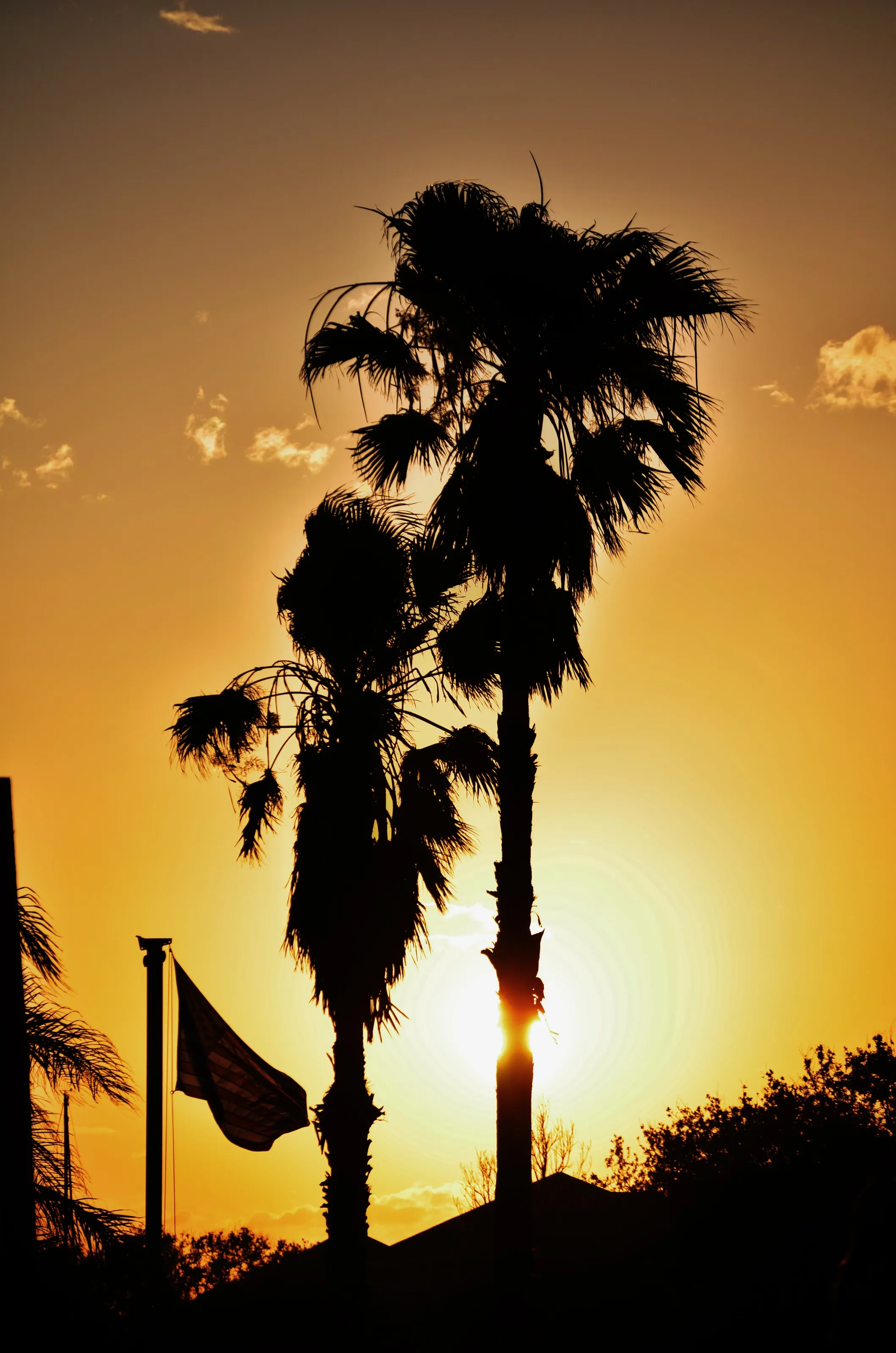 The Sunset