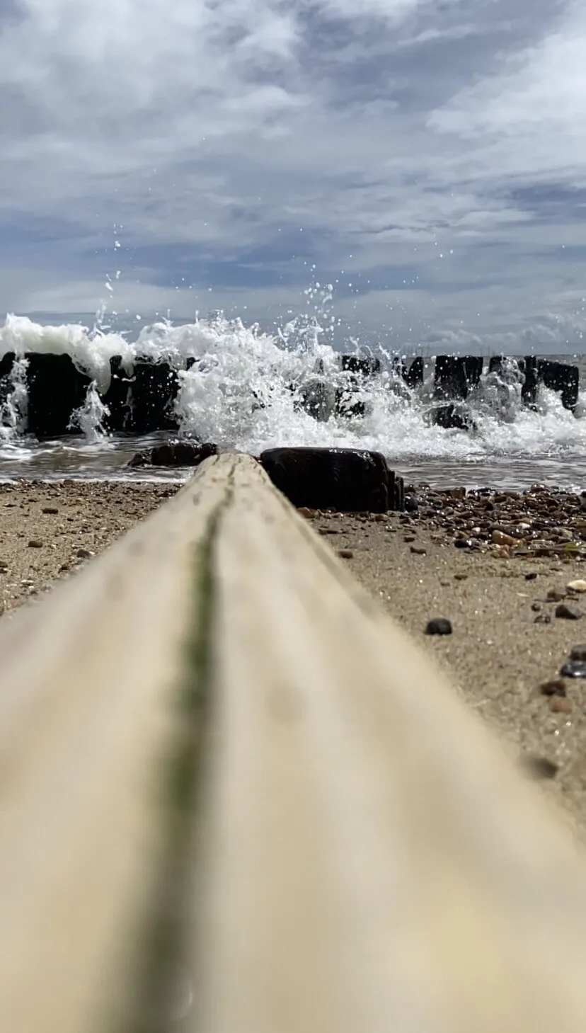 To the waves