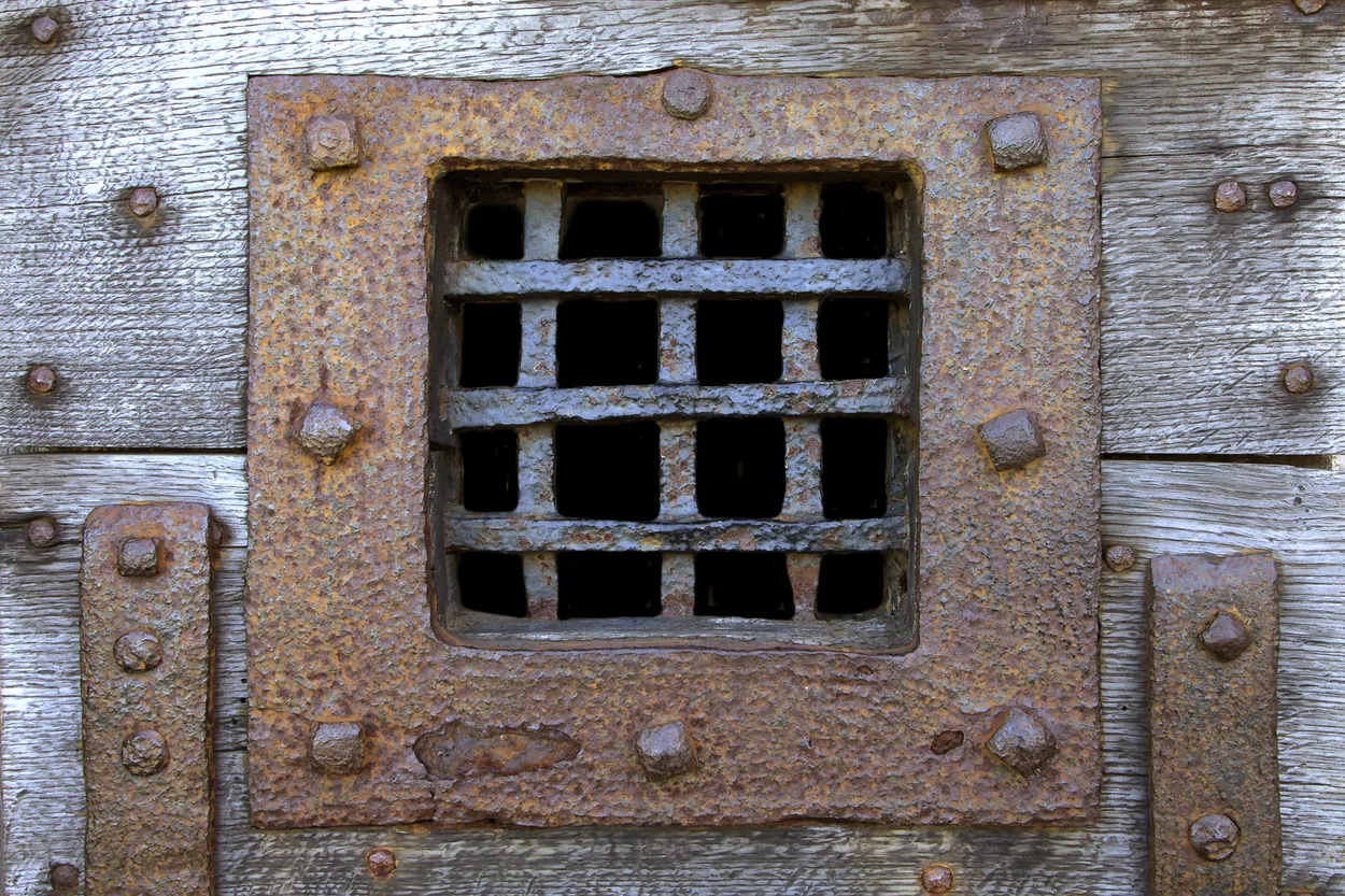 Entry 11029554