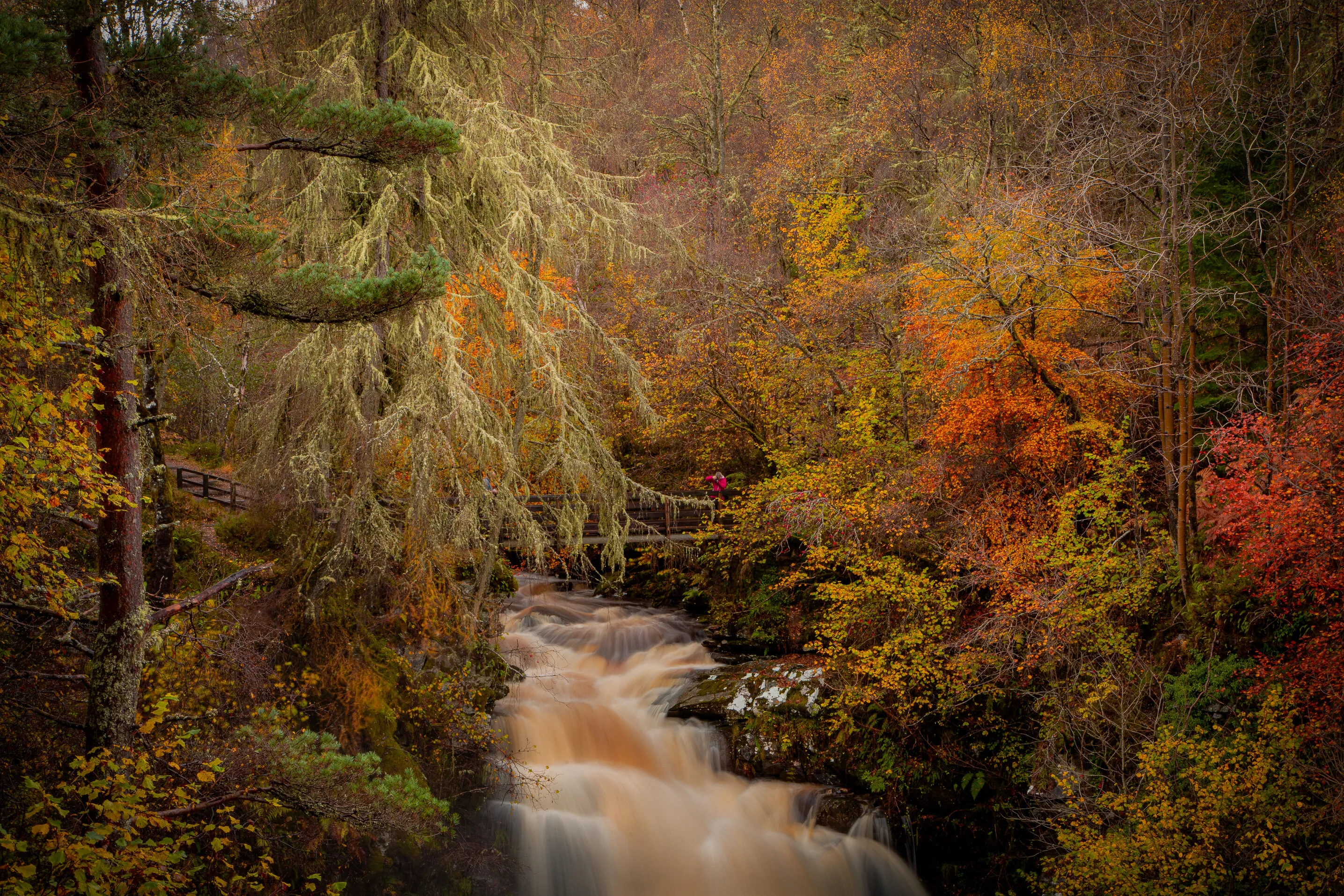 Autumn time