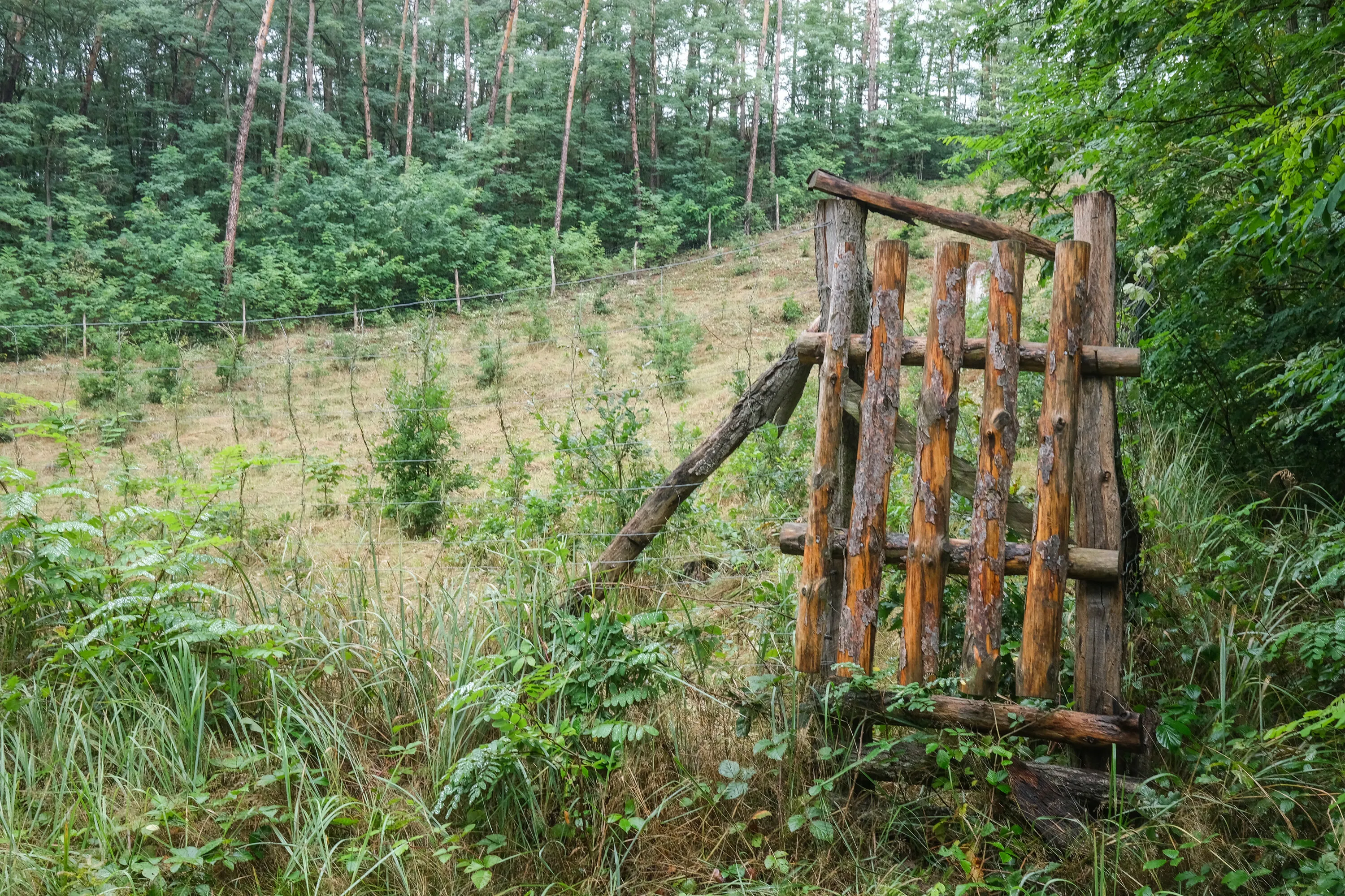 Gate