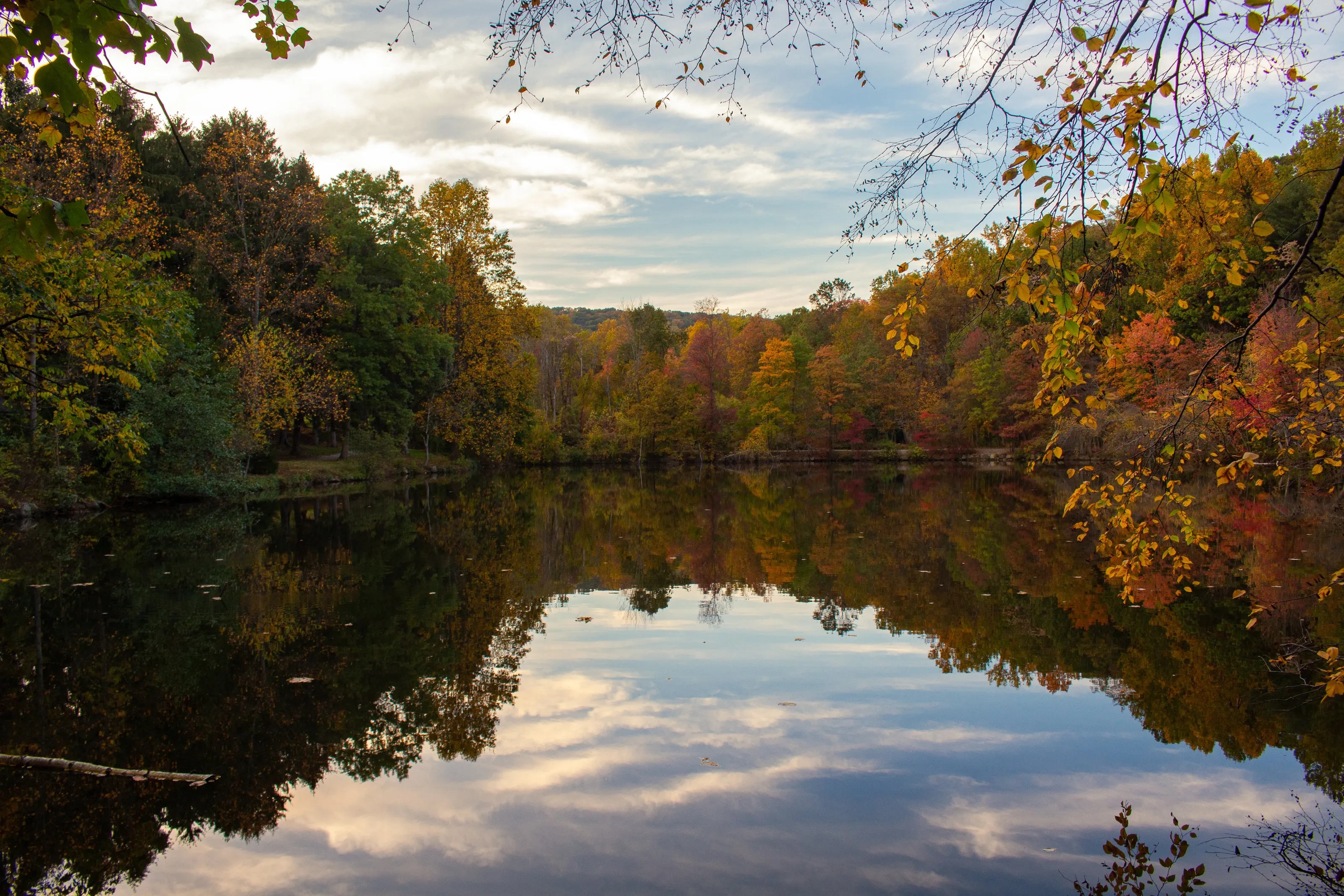Autumn pond