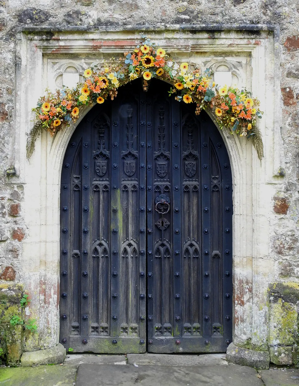 Entry 11102682